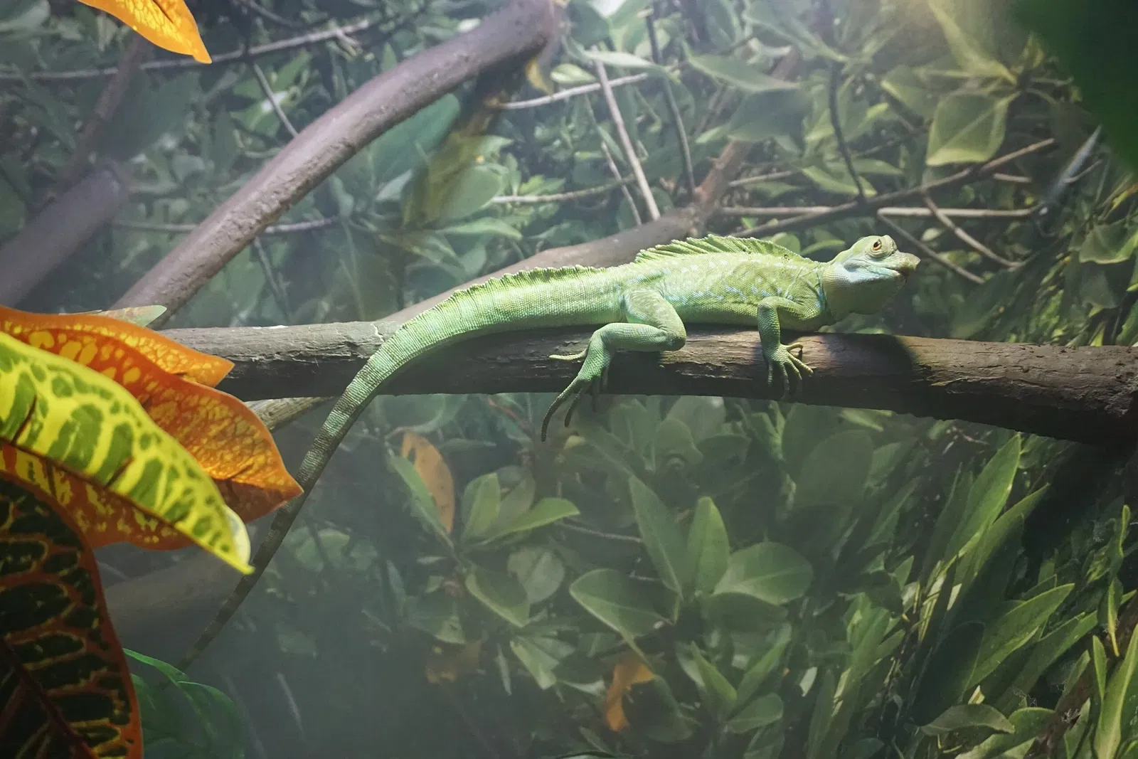 Museo Público de Milwaukee