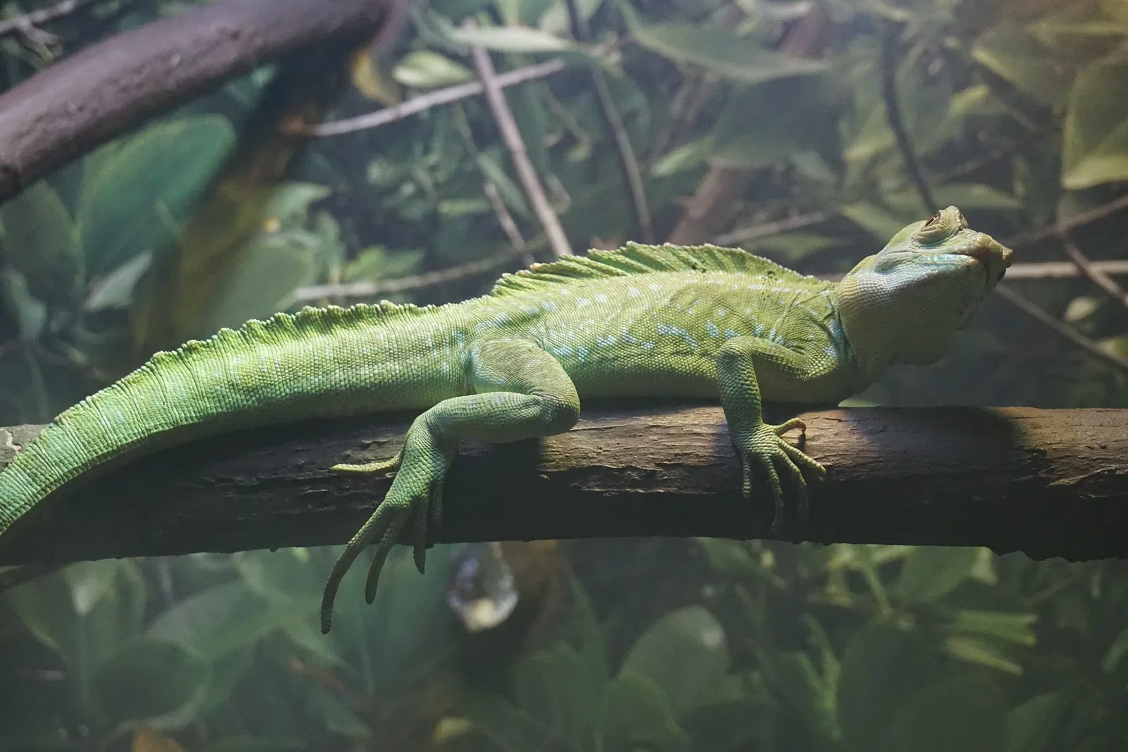 Museo Público de Milwaukee