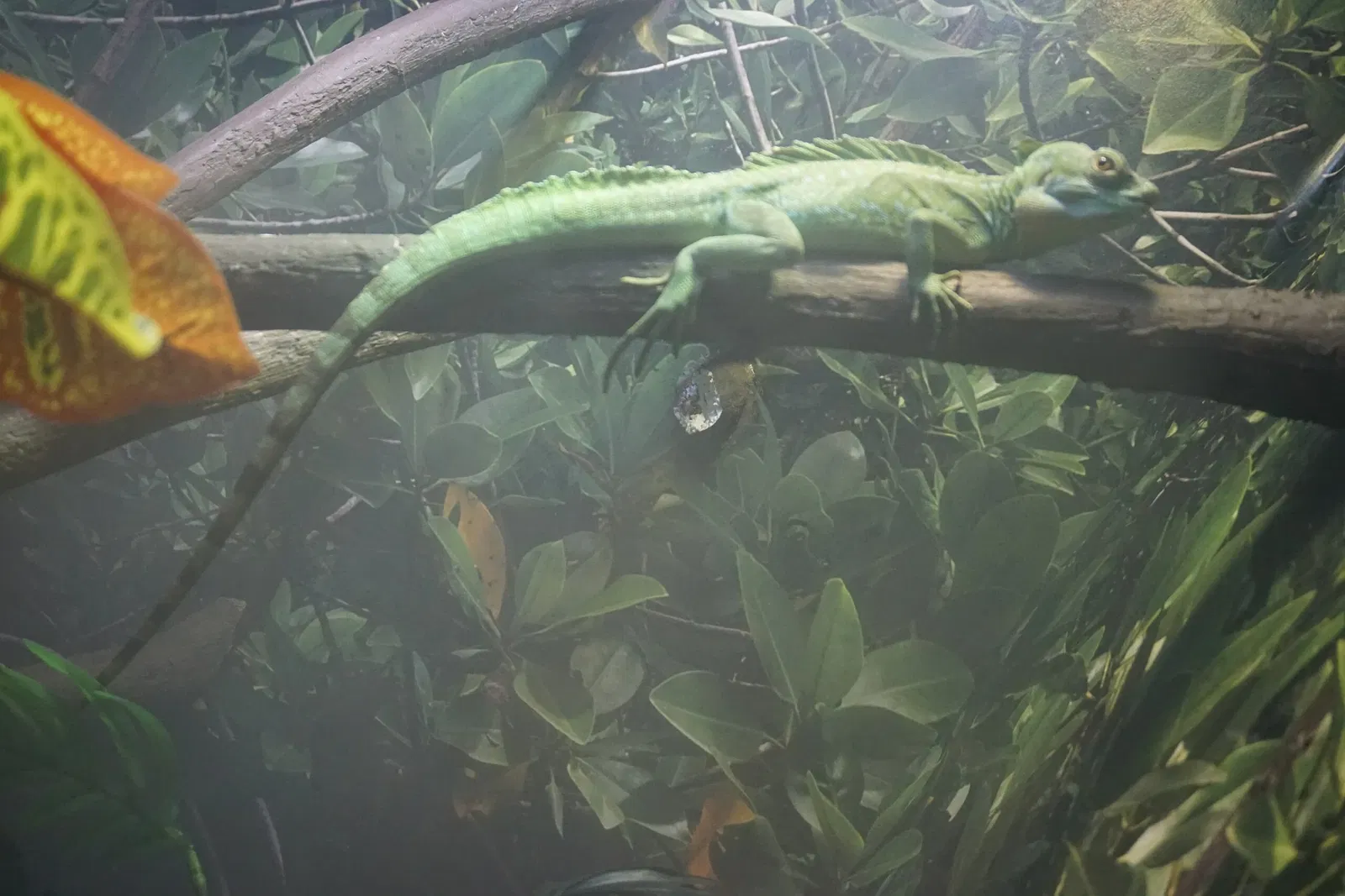 Museo Público de Milwaukee