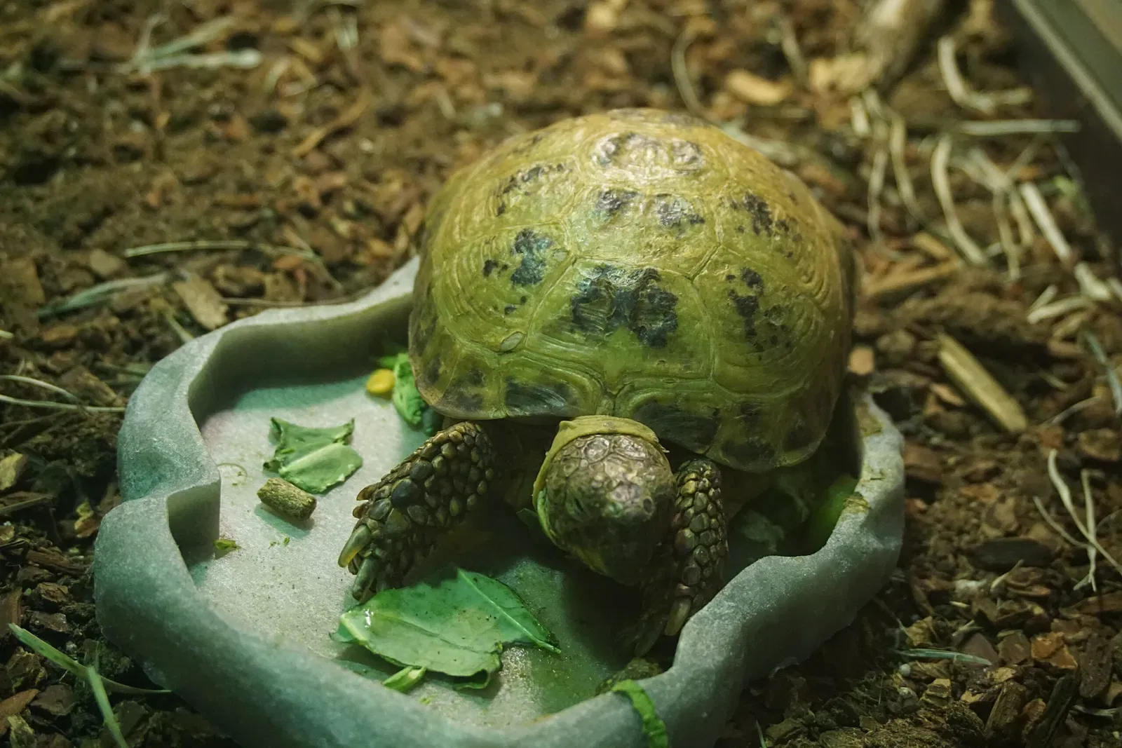 Museo Público de Milwaukee