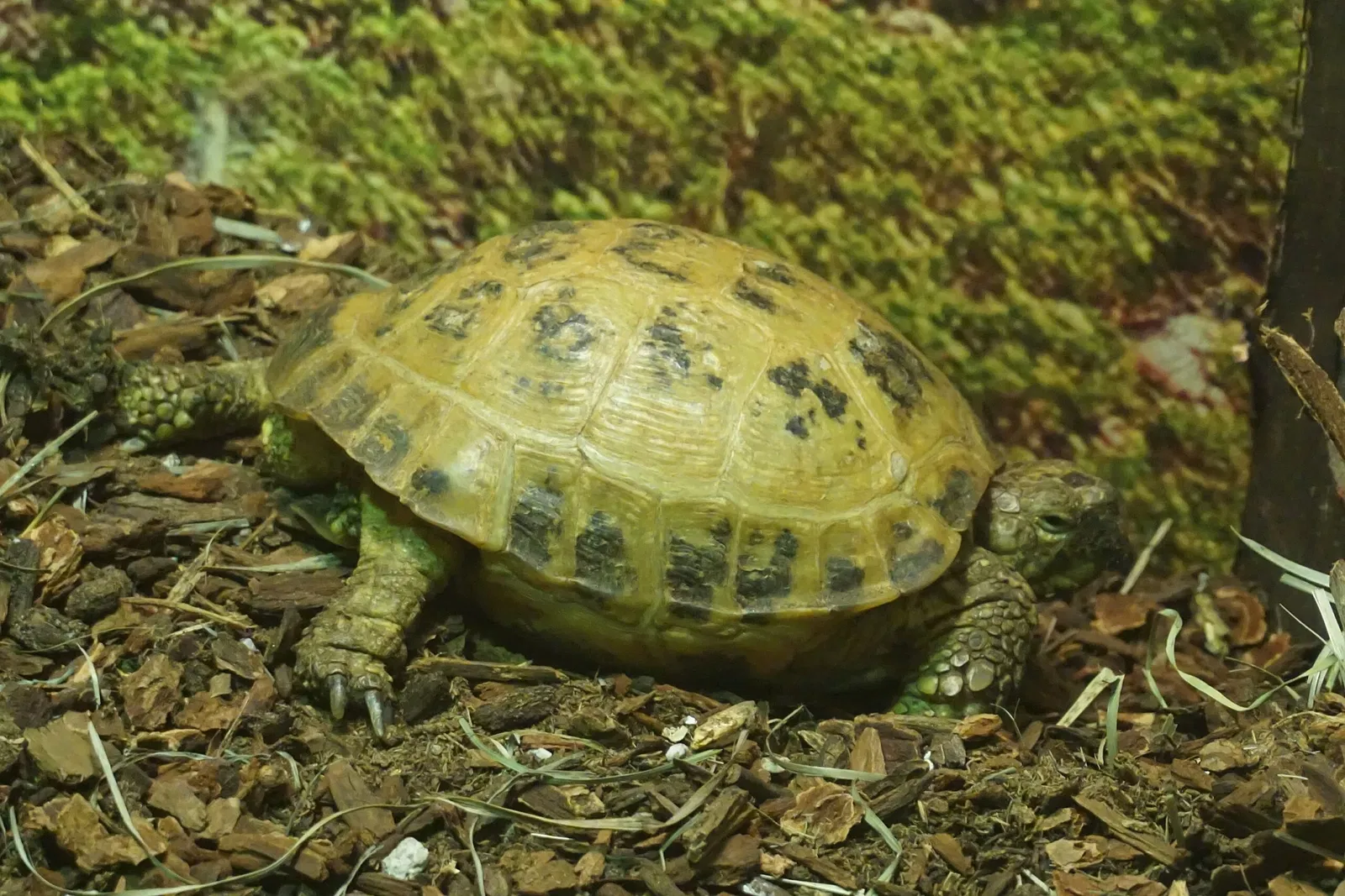 Museo Público de Milwaukee