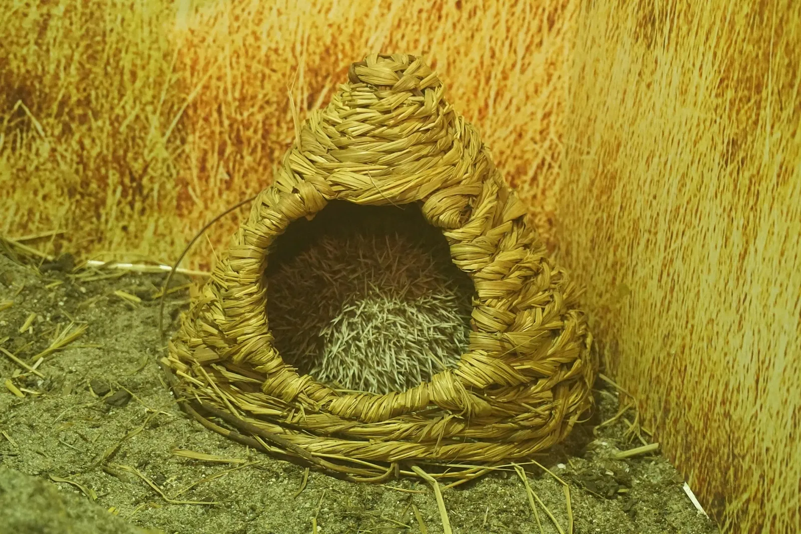 Museo Público de Milwaukee