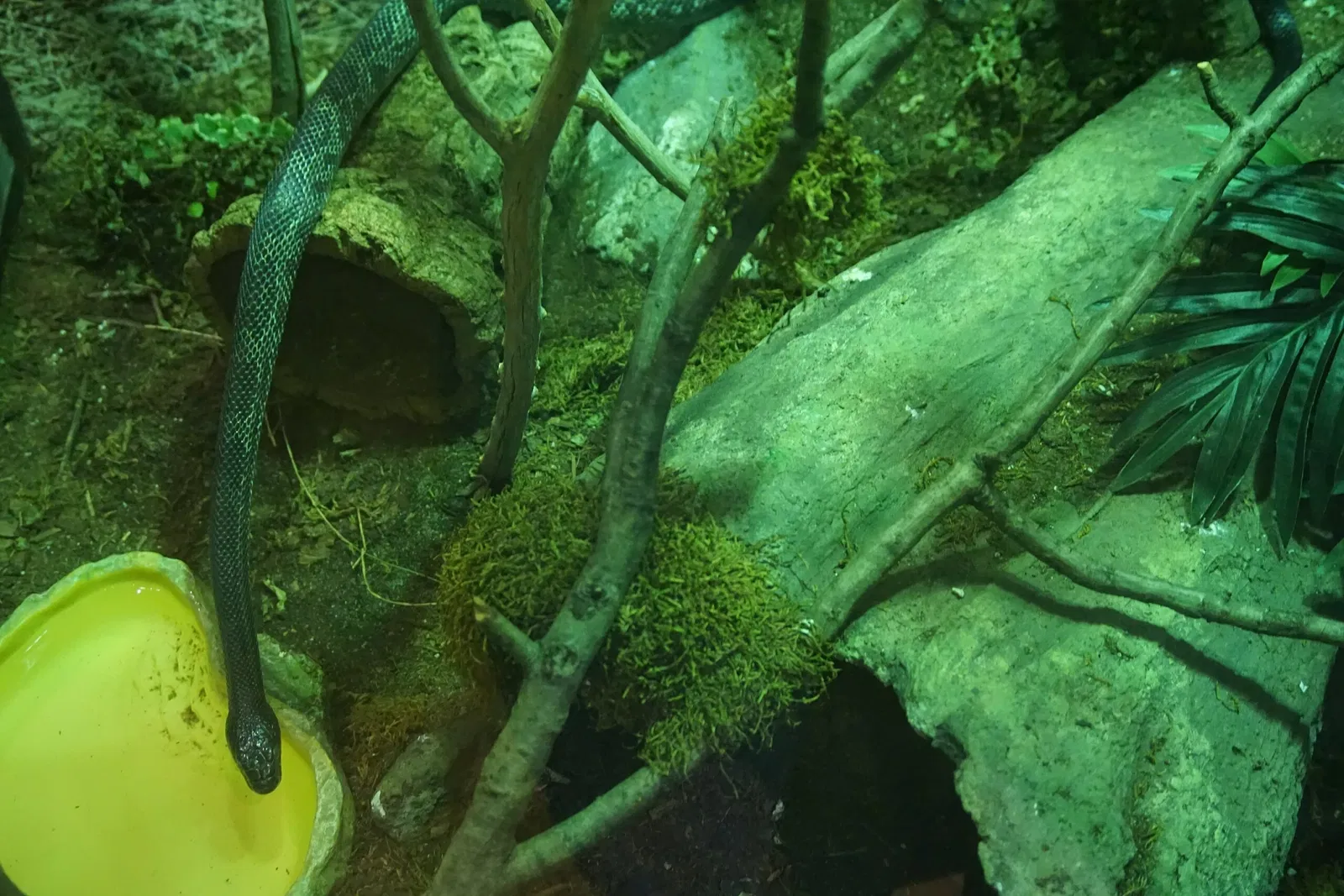 Museo Público de Milwaukee