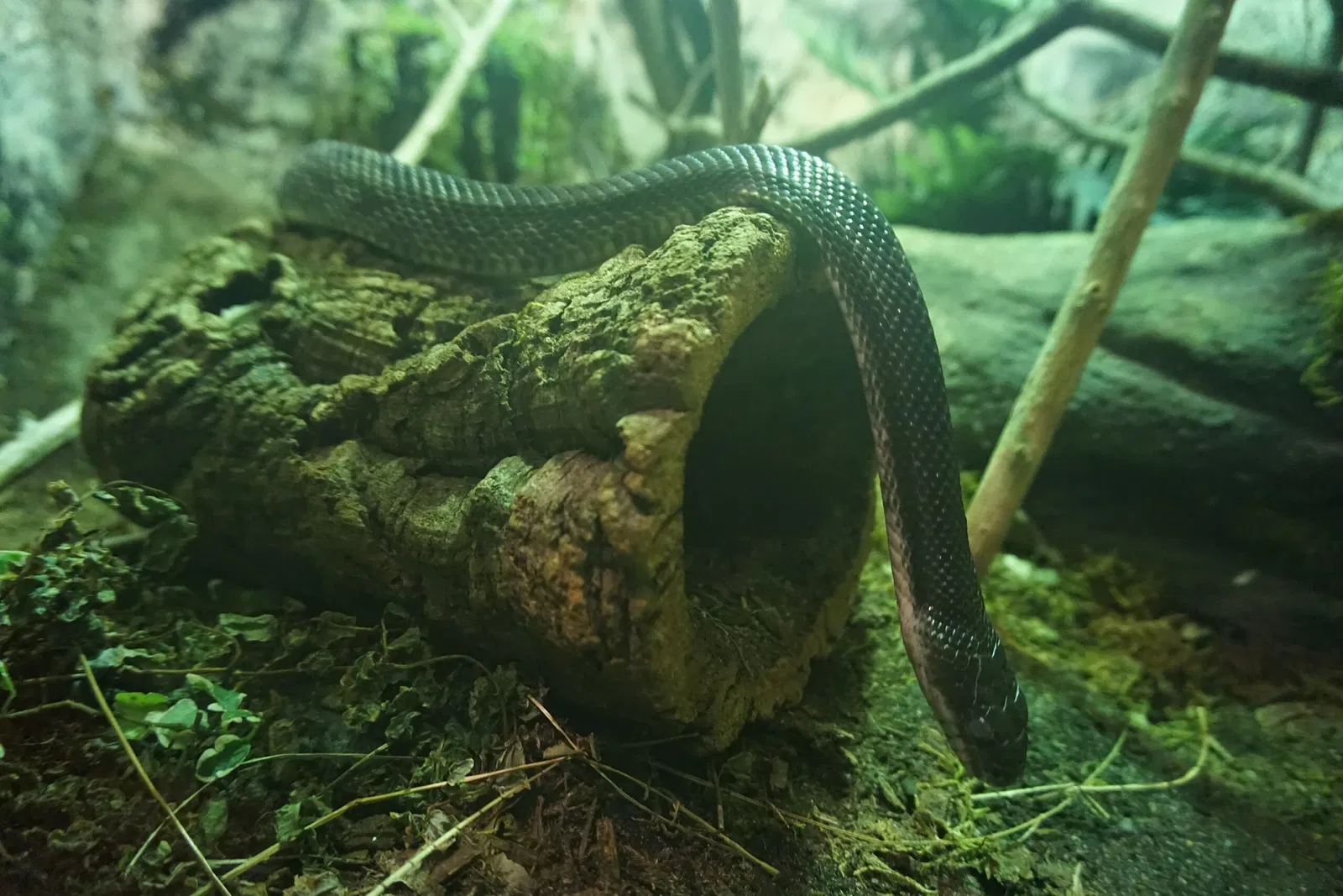 Museo Público de Milwaukee