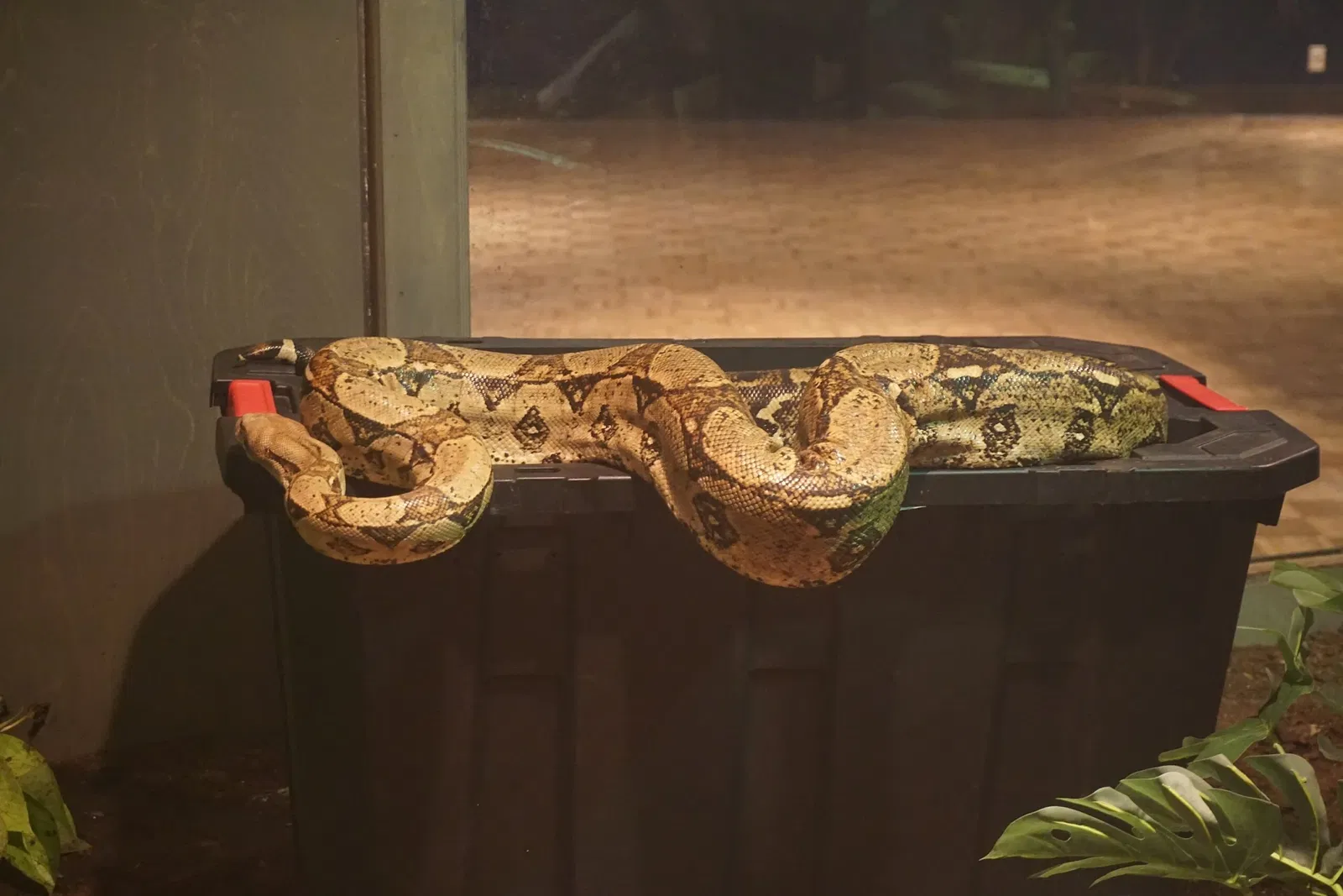 Museo Público de Milwaukee