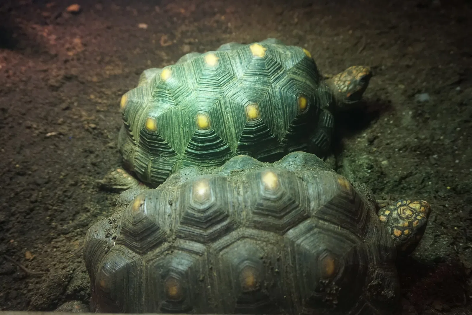 Museo Público de Milwaukee