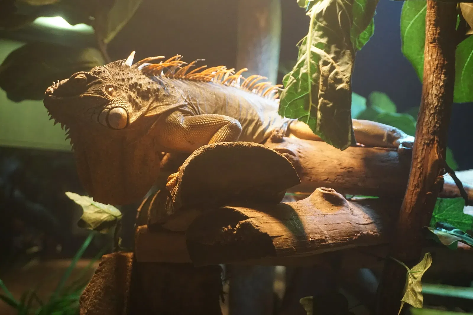 Museo Público de Milwaukee