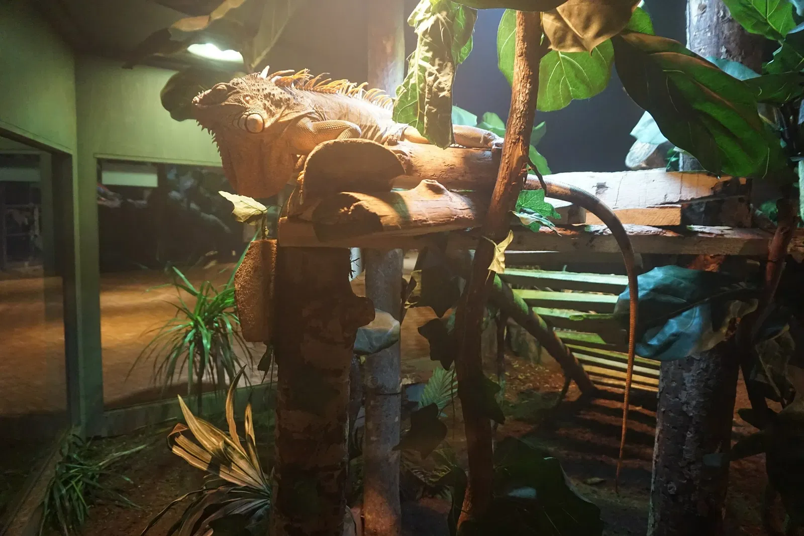 Museo Público de Milwaukee