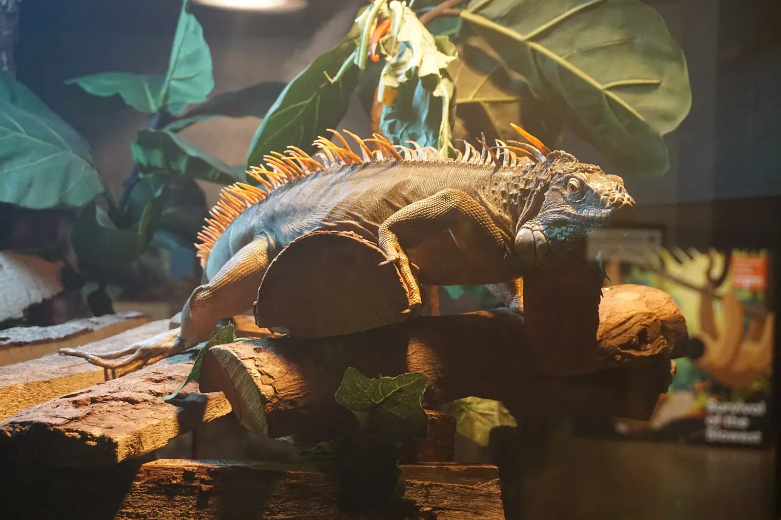 Museo Público de Milwaukee