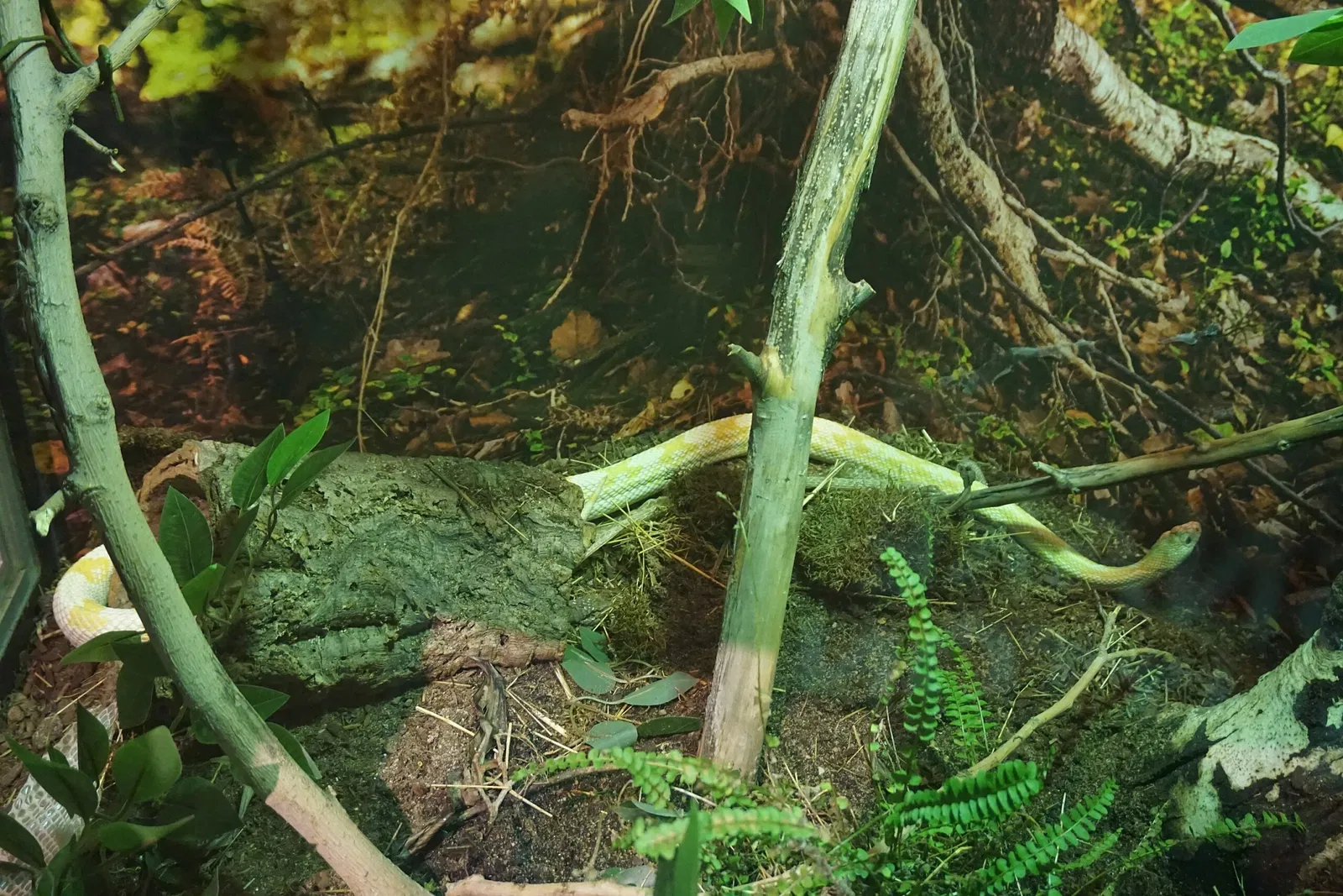 Museo Público de Milwaukee