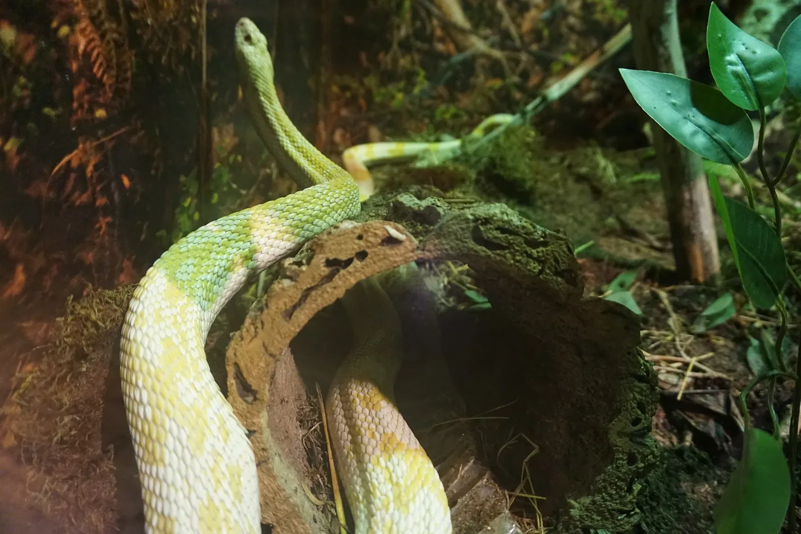 Museo Público de Milwaukee