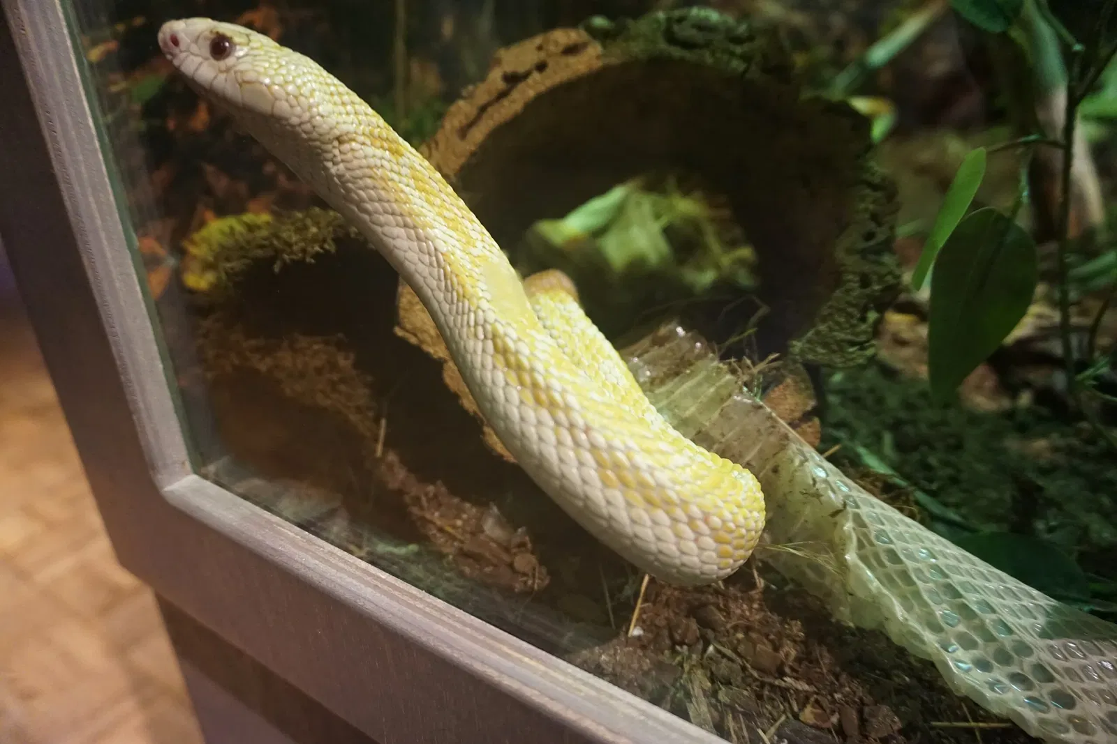 Museo Público de Milwaukee