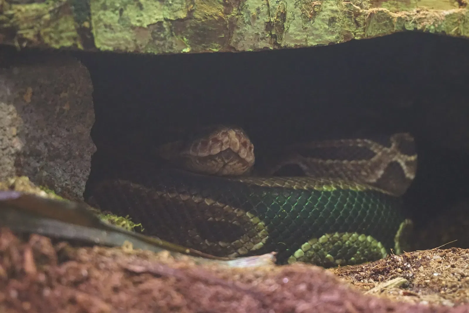 Museo Público de Milwaukee