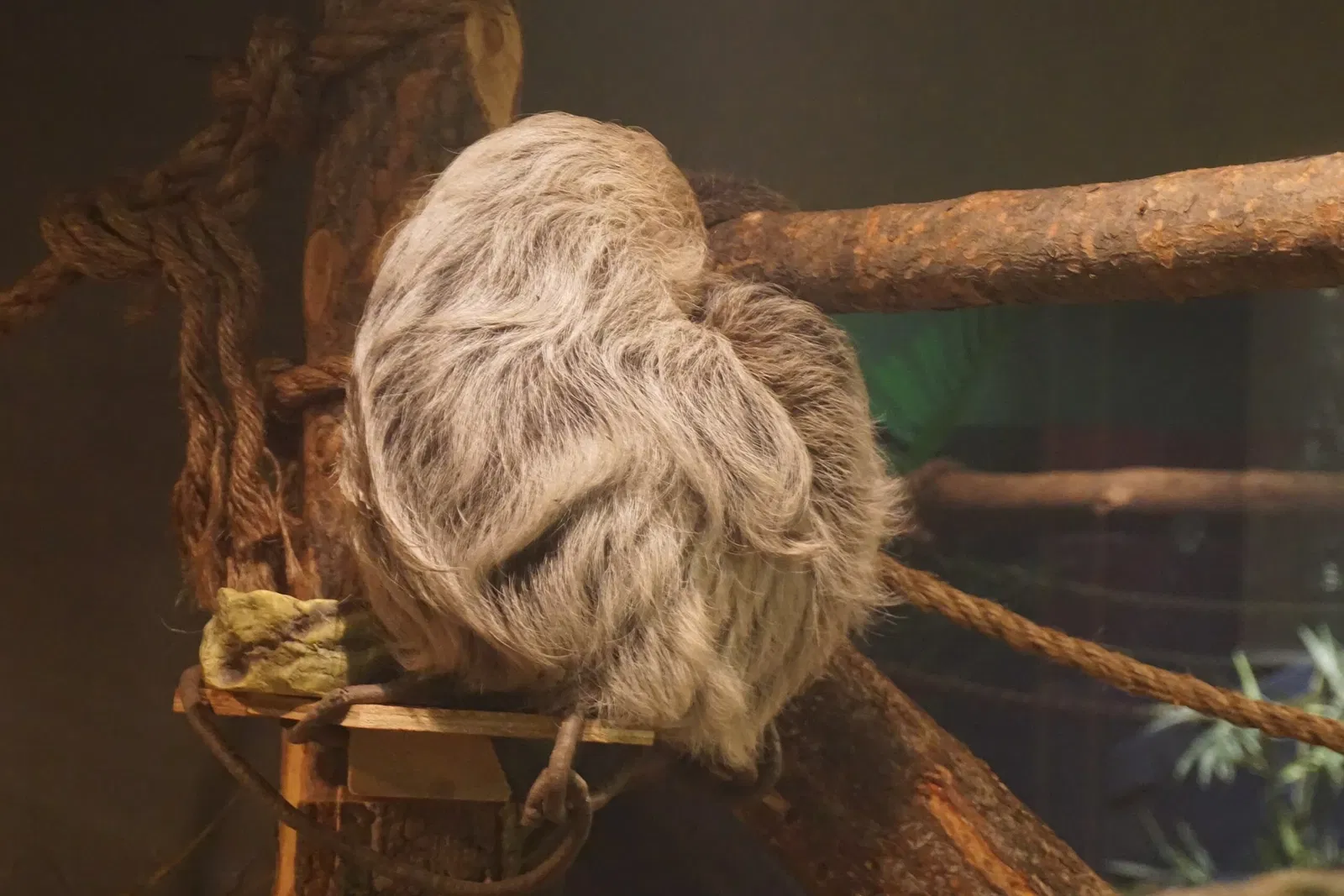 Museo Público de Milwaukee