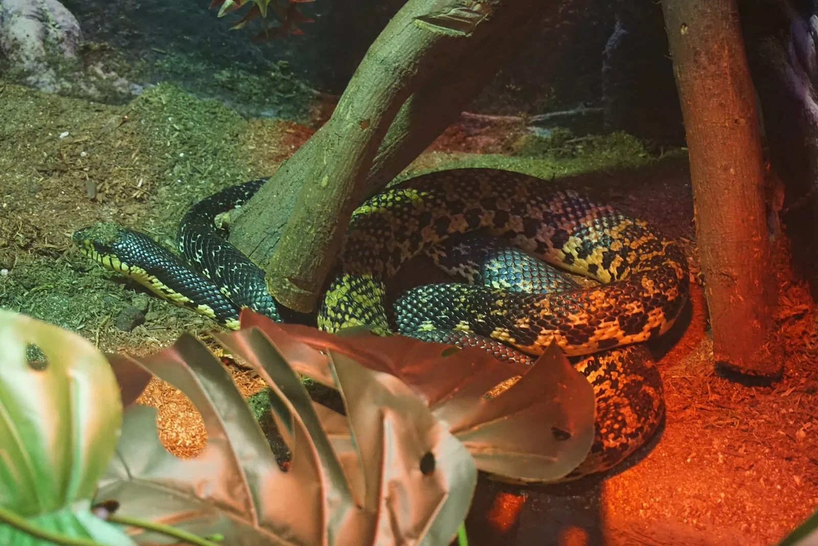 Museo Público de Milwaukee