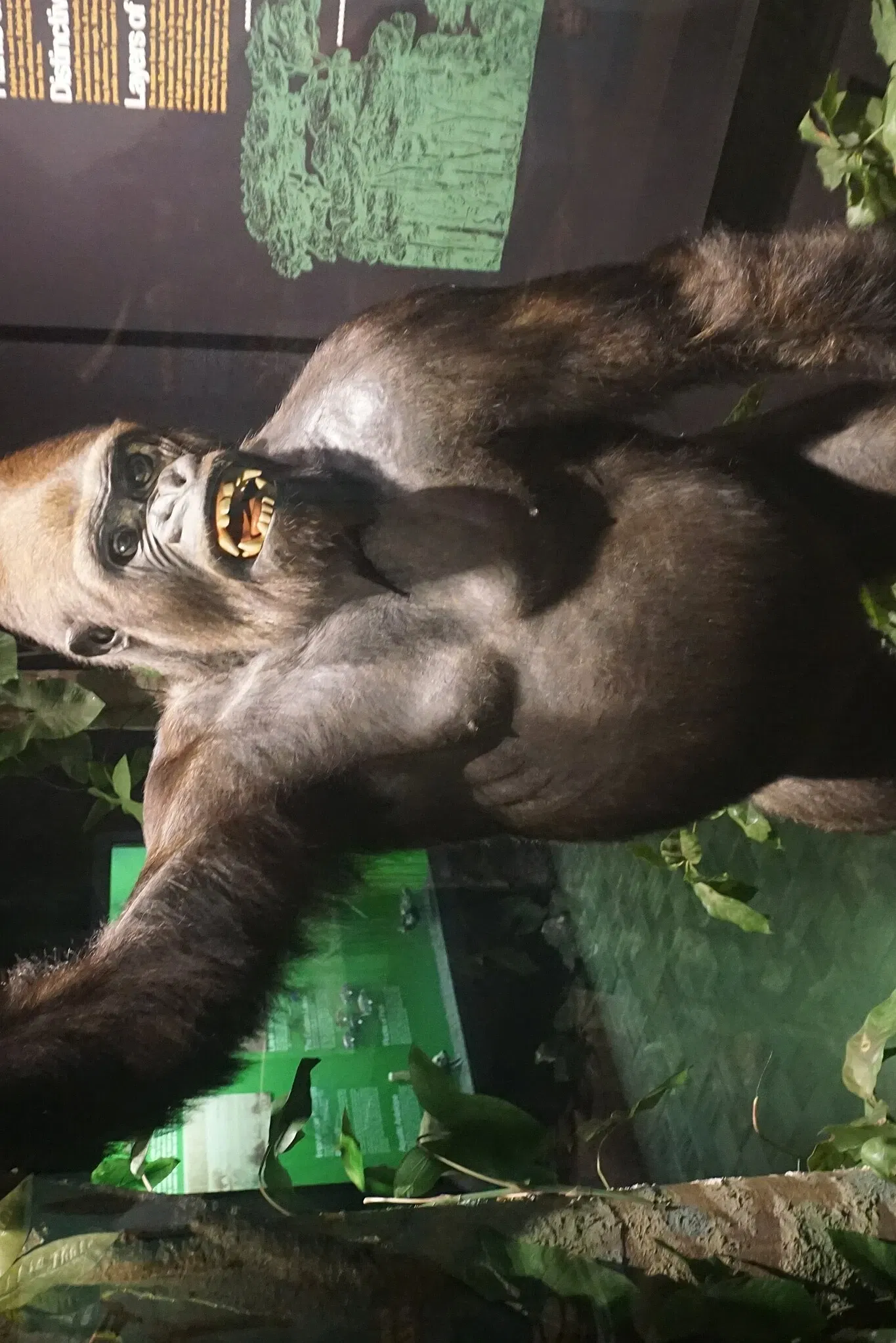 Museo Público de Milwaukee