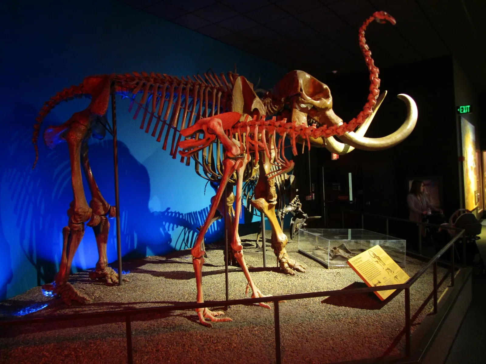 Museo Público de Milwaukee