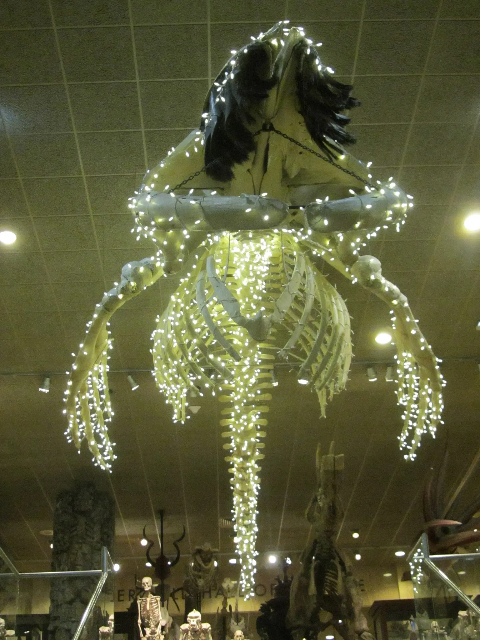 Museo Público de Milwaukee