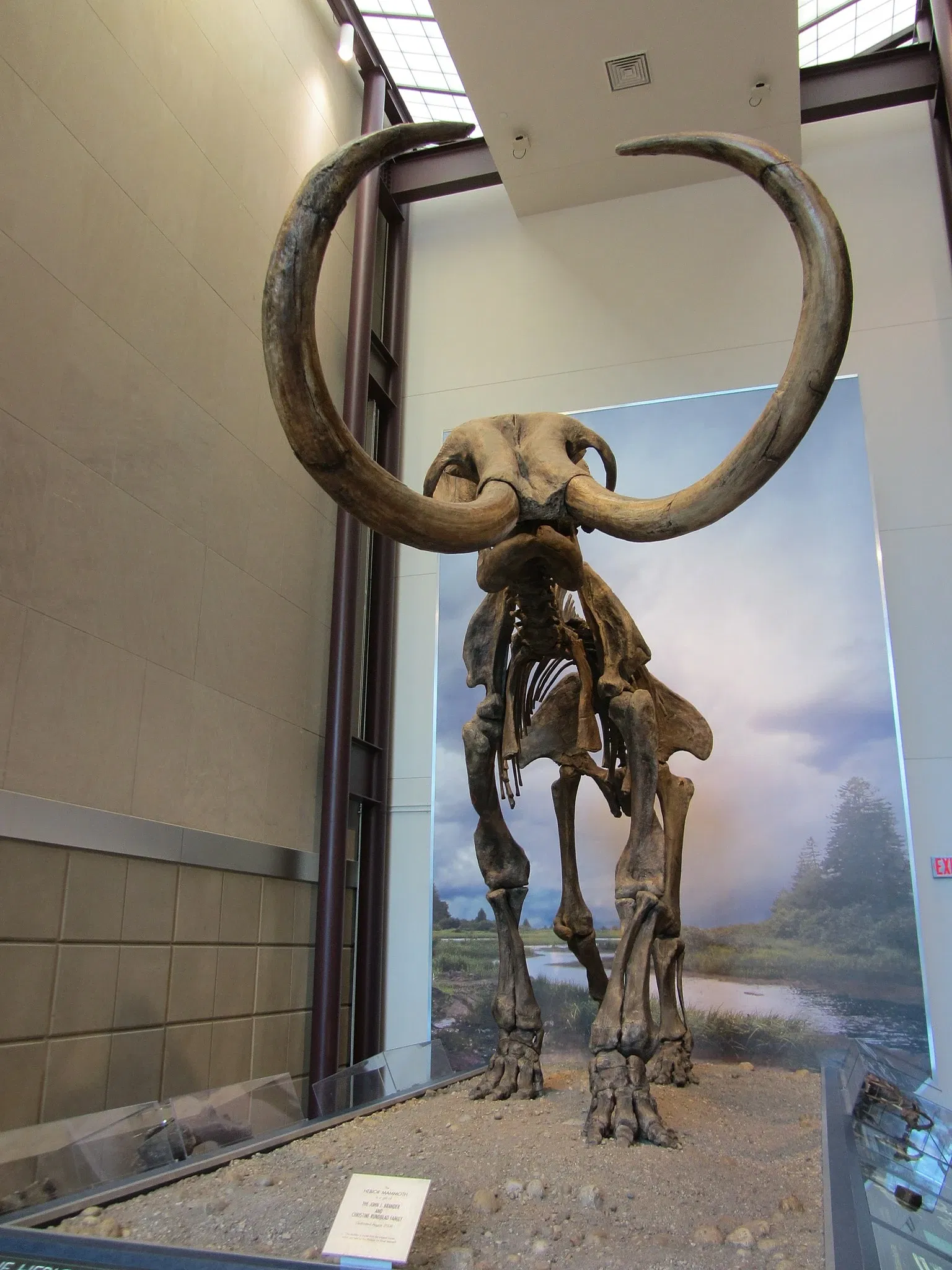 Museo Público de Milwaukee