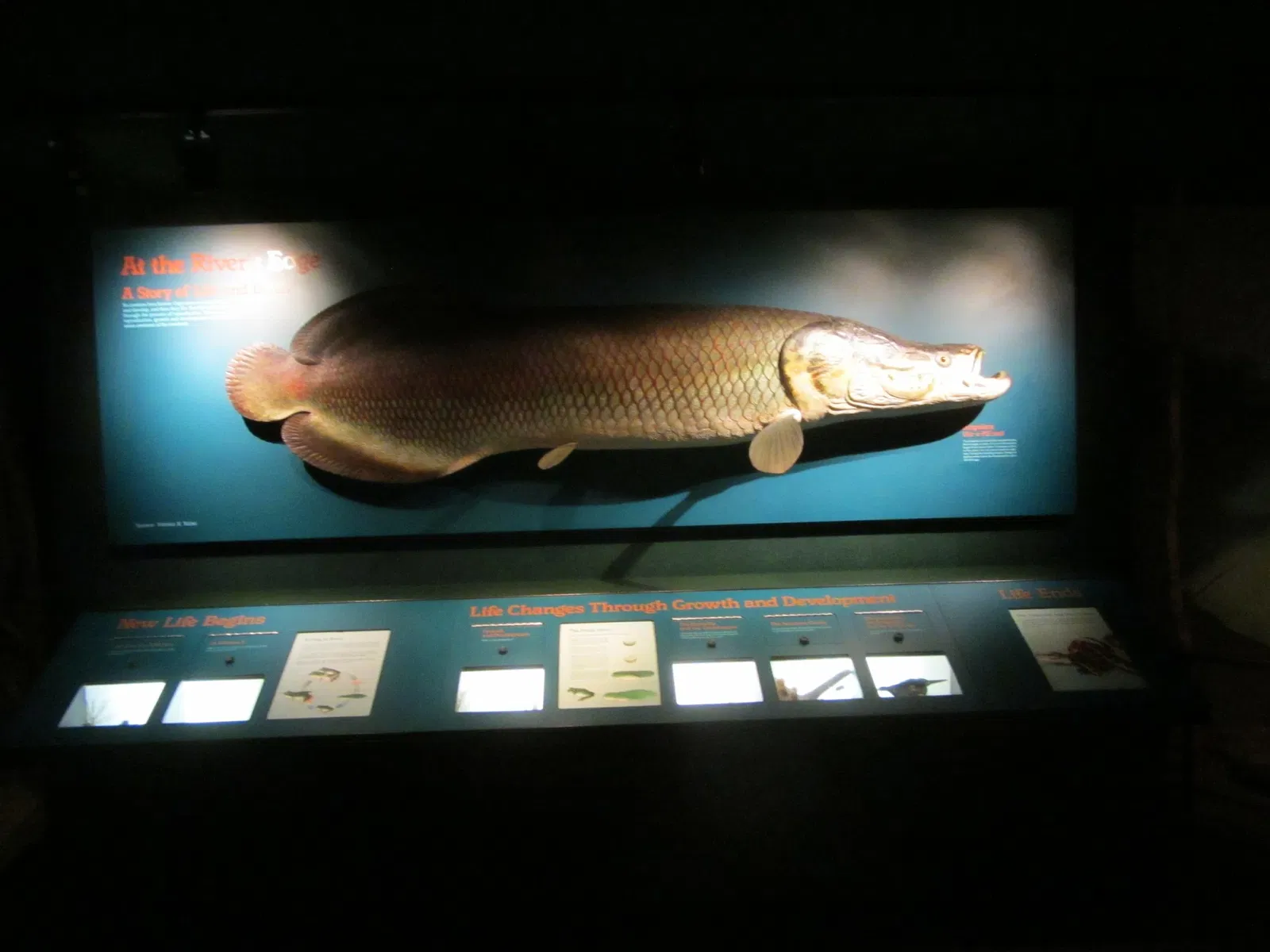 Museo Público de Milwaukee