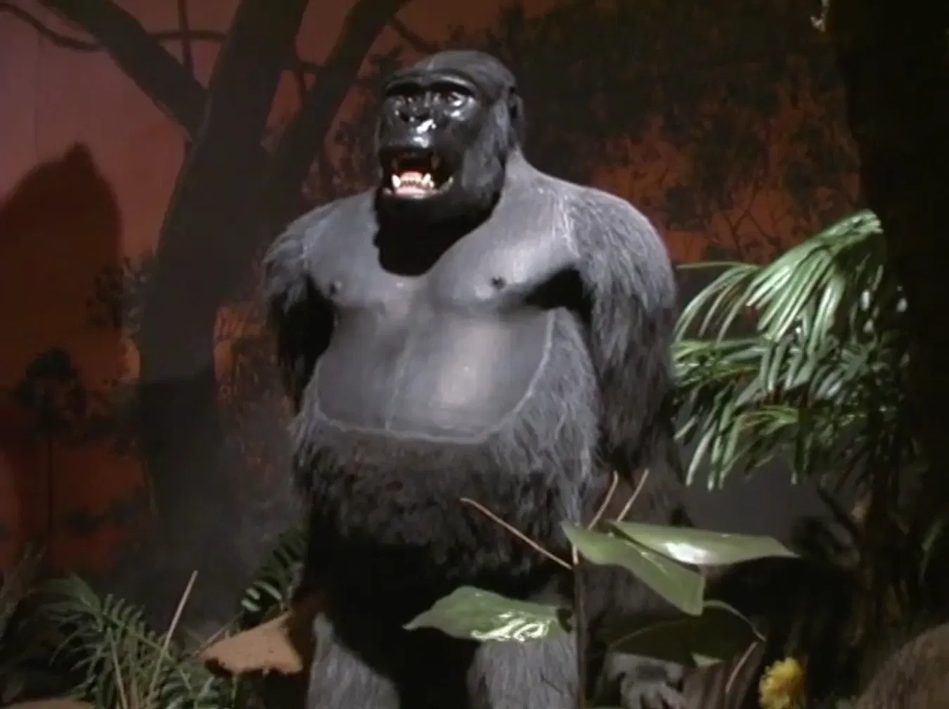 Buckhorn Saloon and Museum