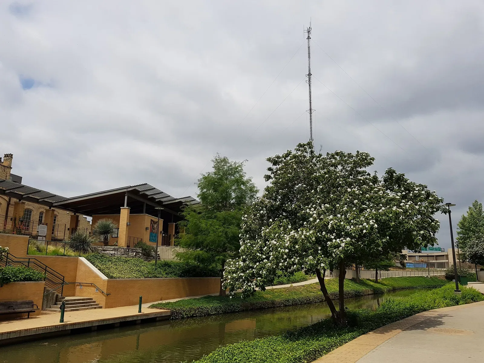 San Antonio Museum of Art