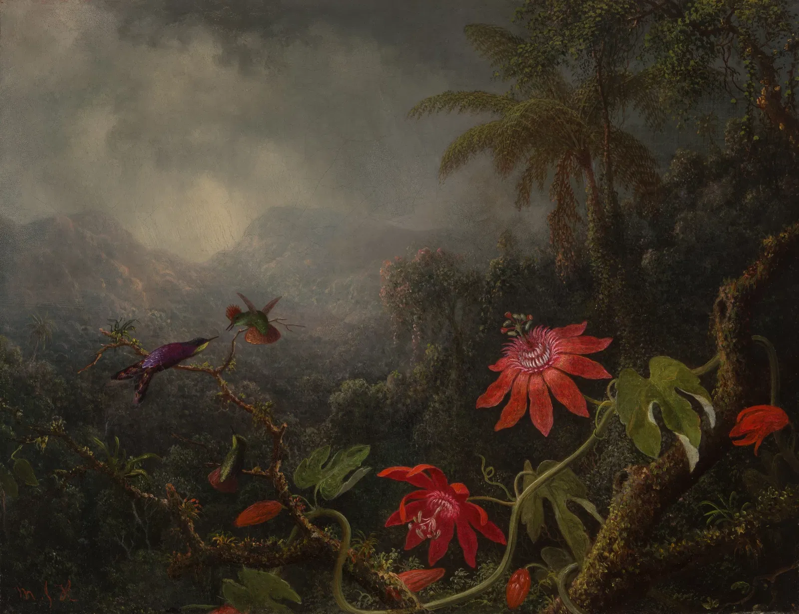 San Antonio Museum of Art