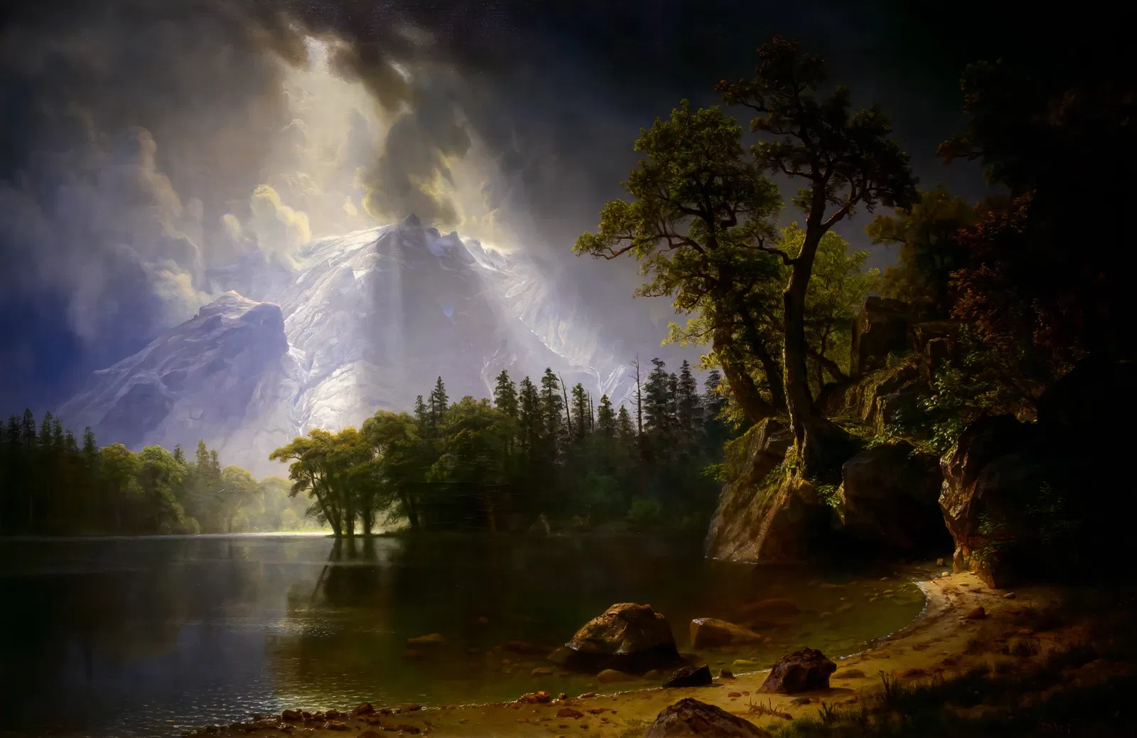 Musée d'Art de San Antonio