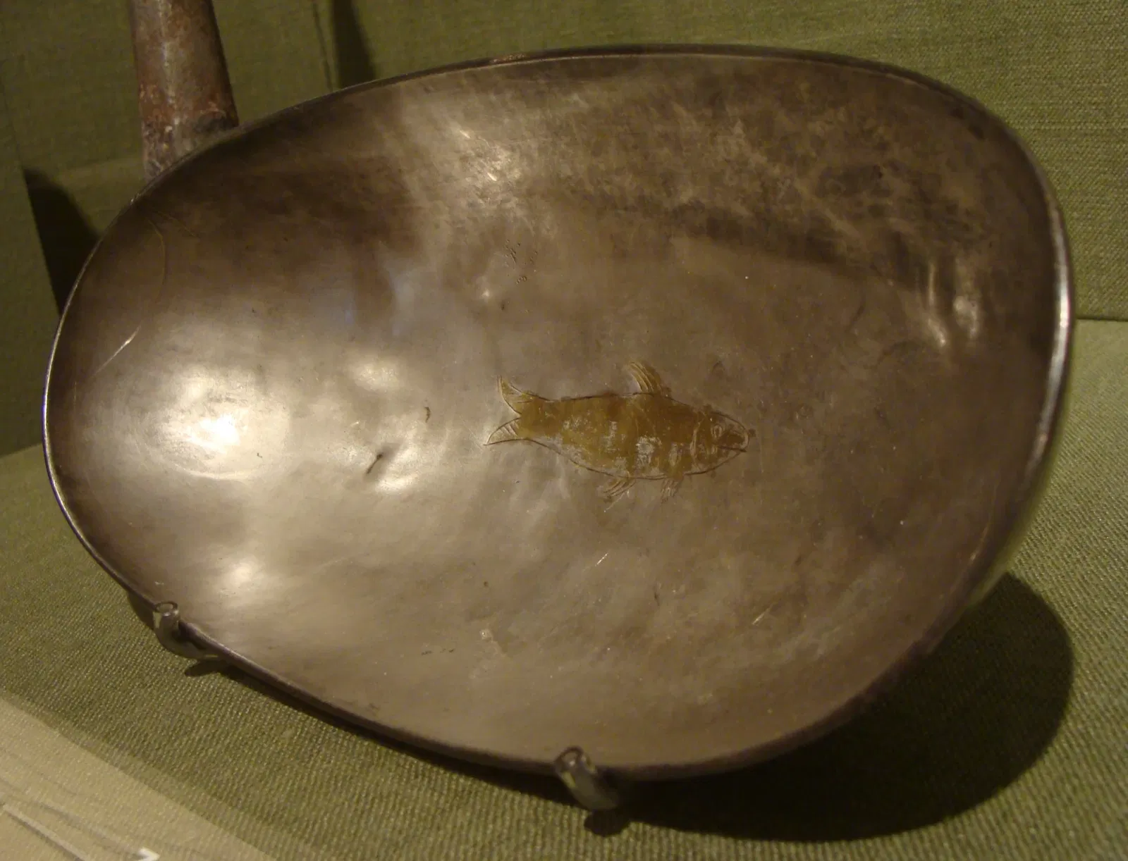 Musée d'Art de San Antonio