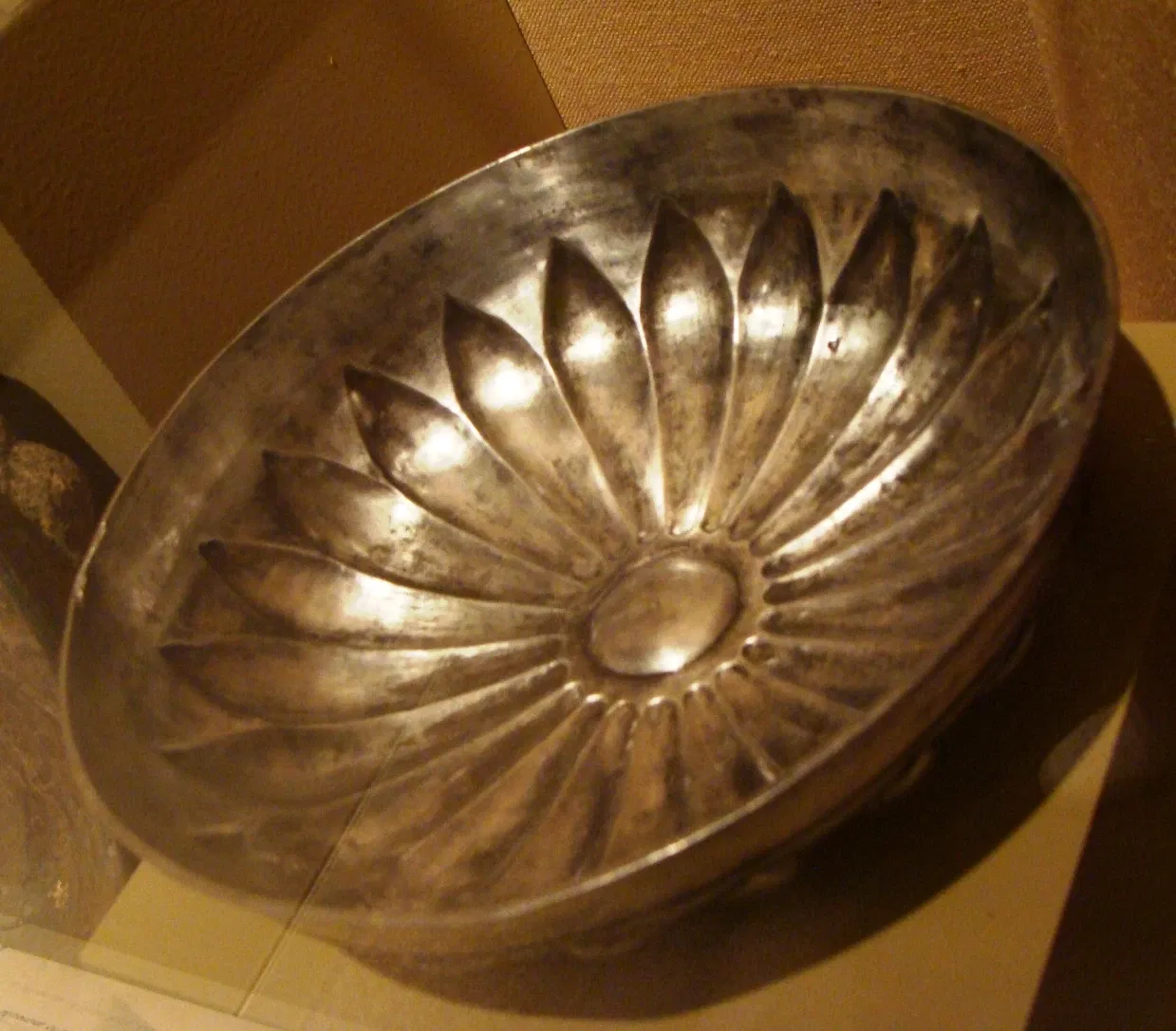 Musée d'Art de San Antonio