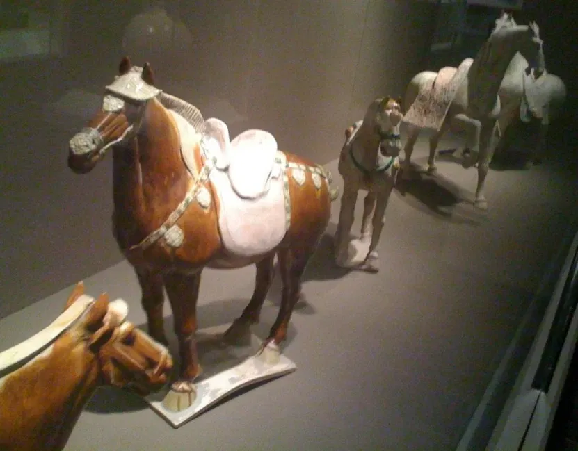 Musée d'Art de San Antonio