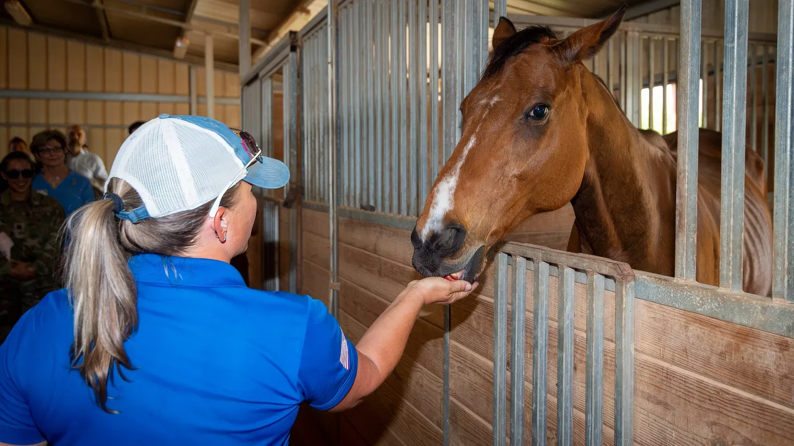 Fort Sam Houston Museum