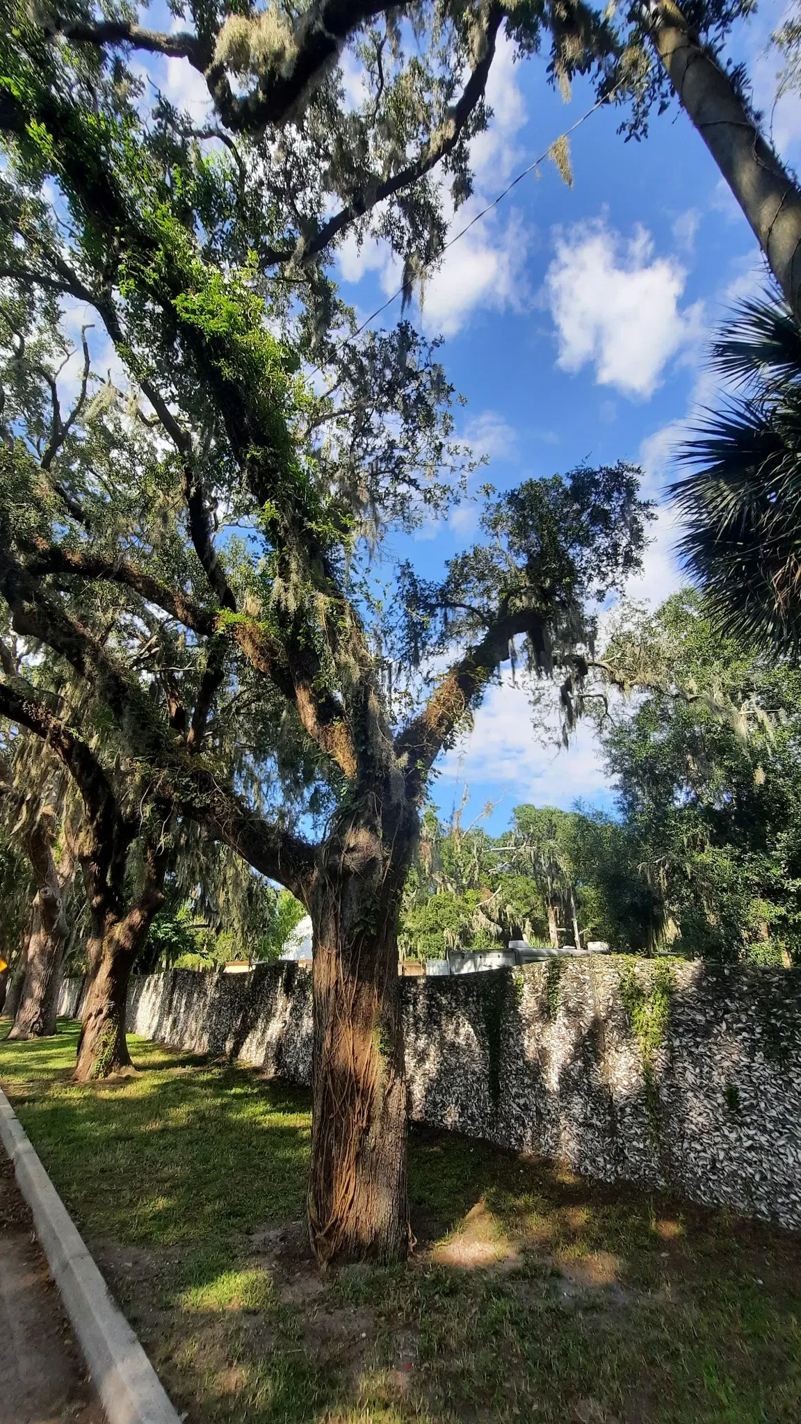 Ponce De Leon's Fountain of Youth Archeological Park