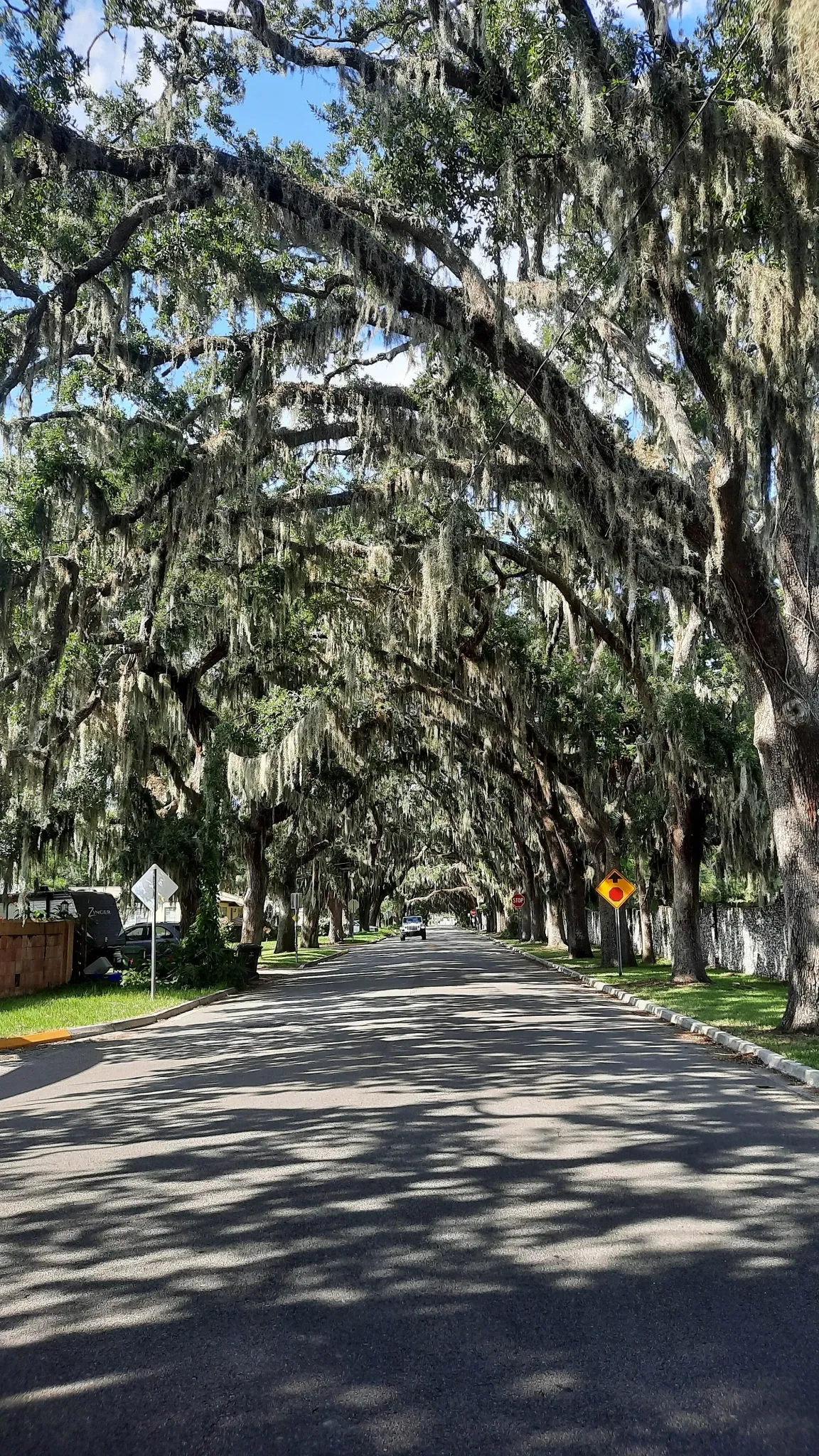 Ponce De Leon's Fountain of Youth Archeological Park
