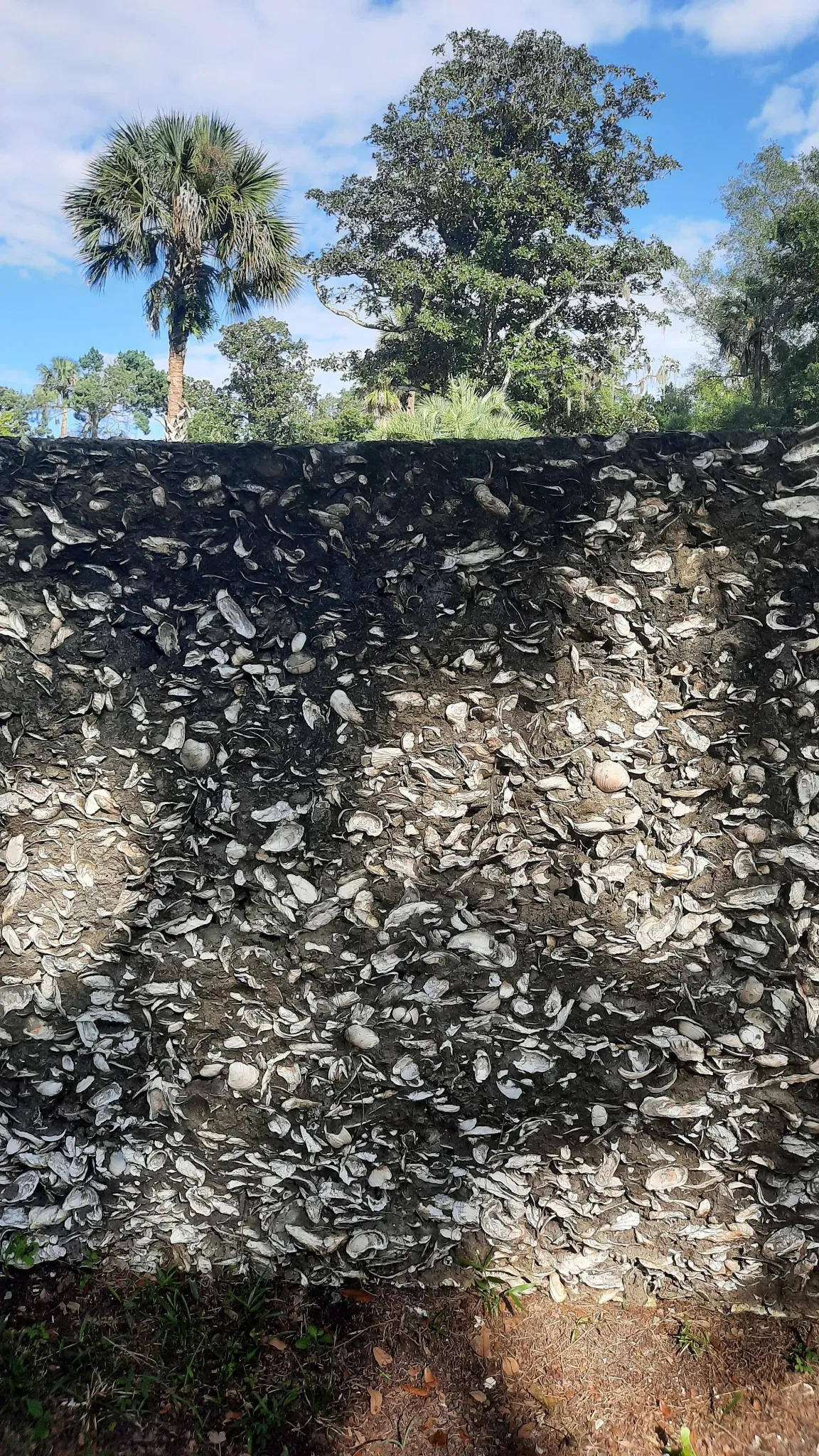 Ponce De Leon's Fountain of Youth Archeological Park