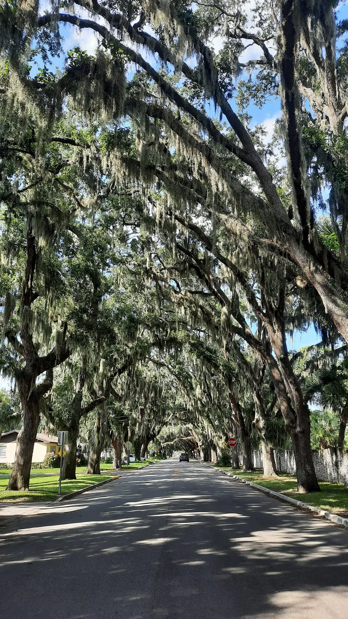 Ponce De Leon's Fountain of Youth Archeological Park