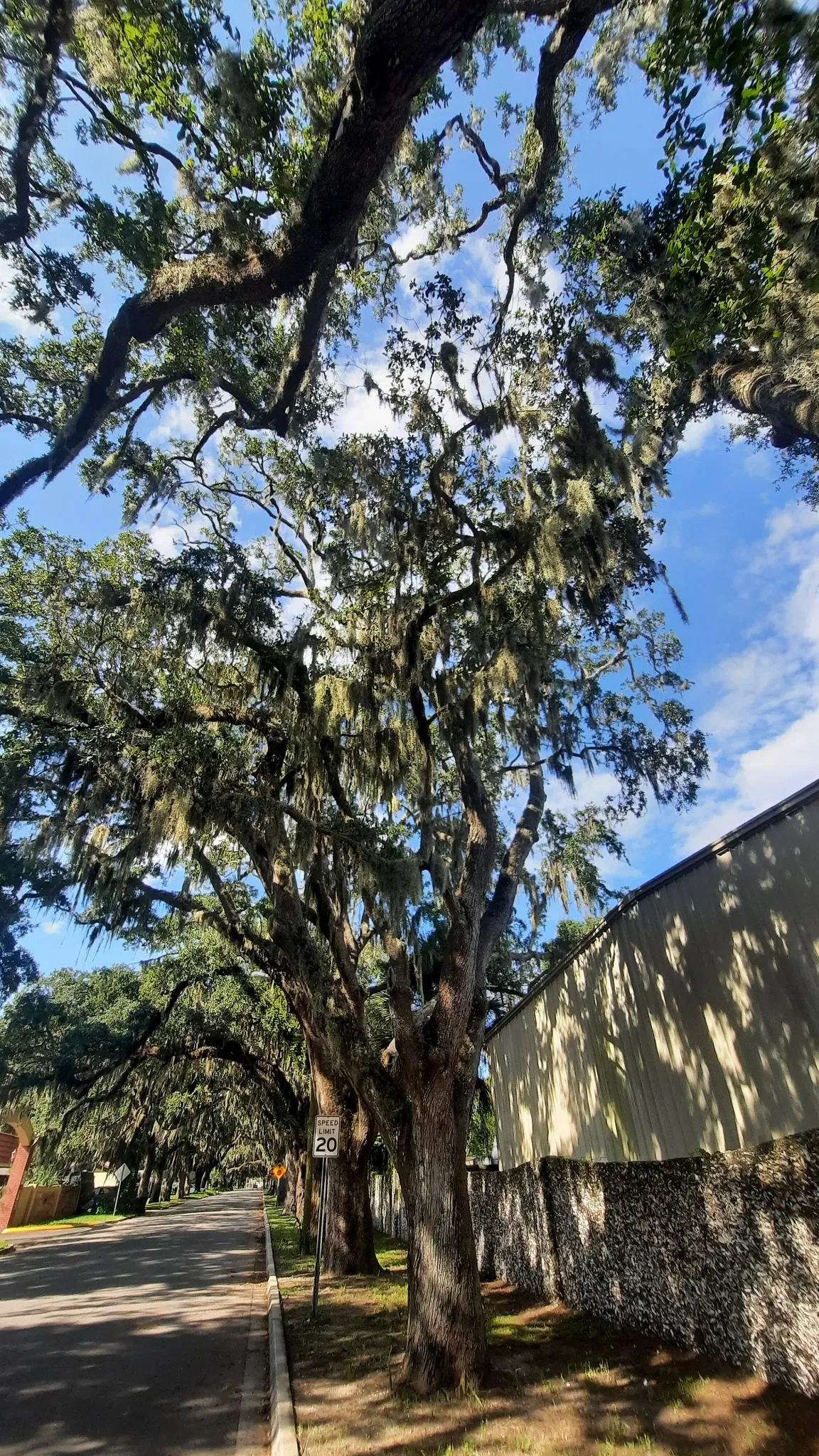 Ponce De Leon's Fountain of Youth Archeological Park