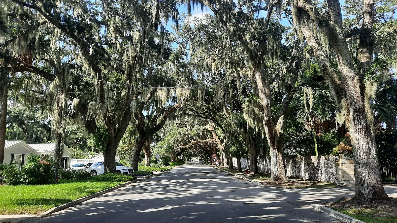 Ponce De Leon's Fountain of Youth Archeological Park