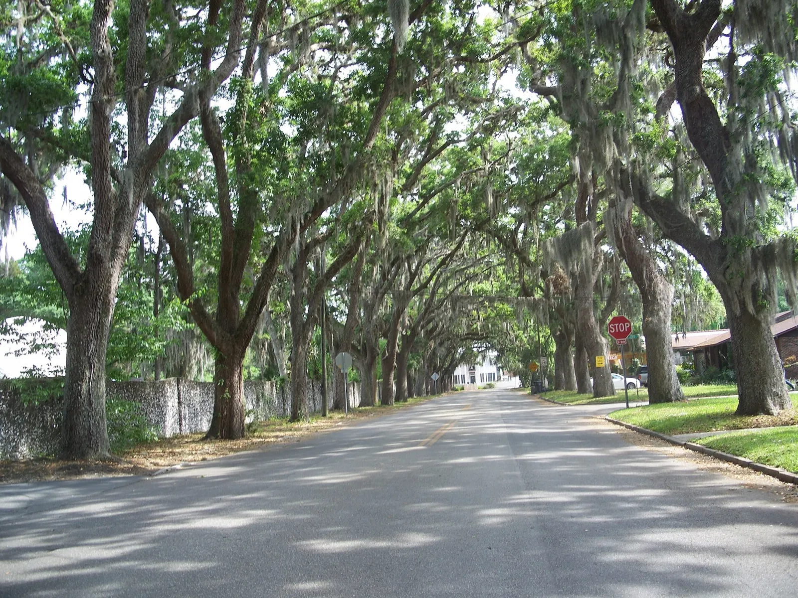 Ponce De Leon's Fountain of Youth Archeological Park