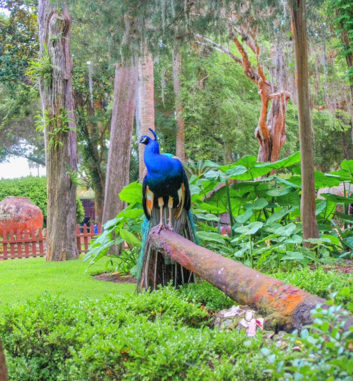 Ponce De Leon's Fountain of Youth Archeological Park