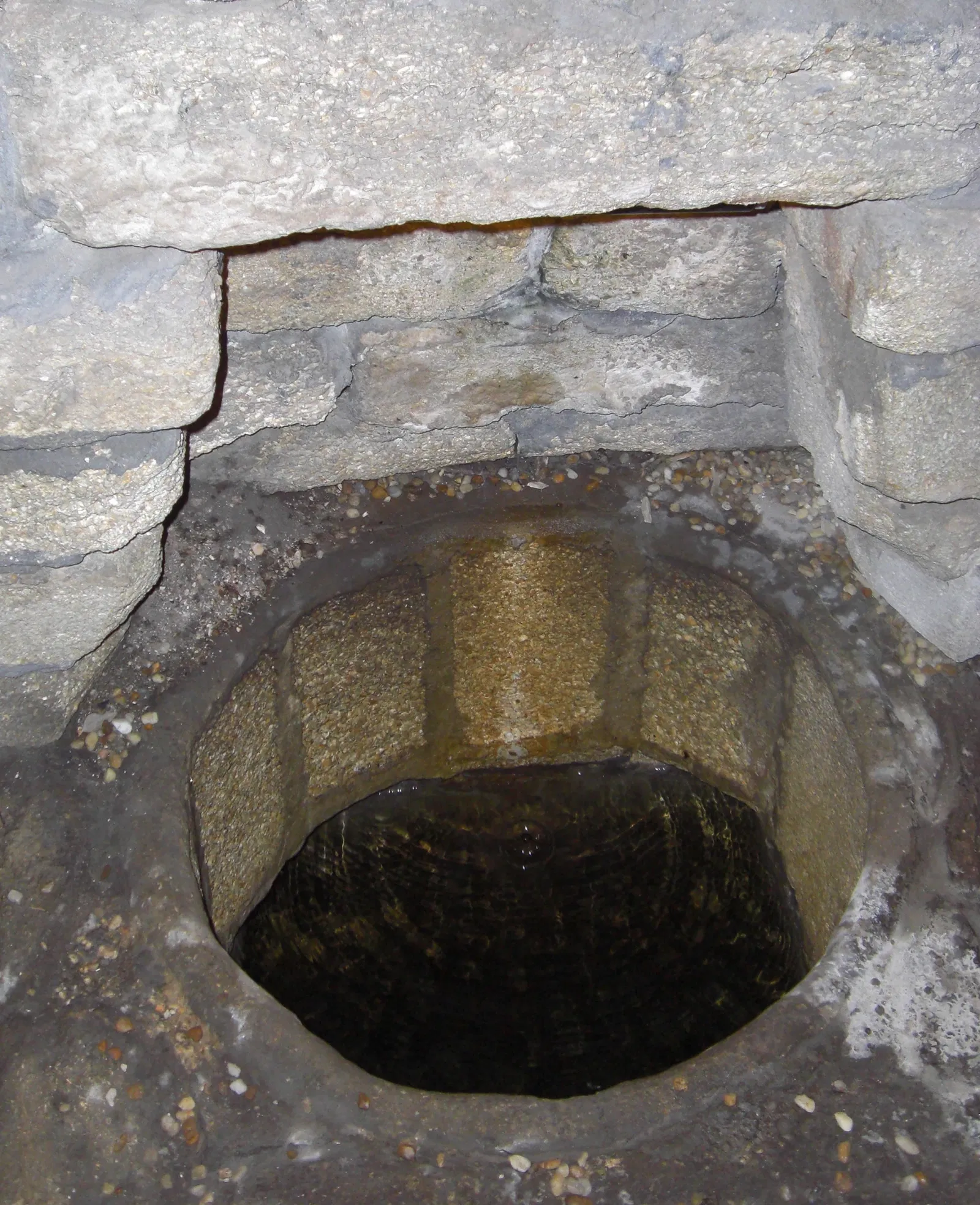 Ponce De Leon's Fountain of Youth Archeological Park