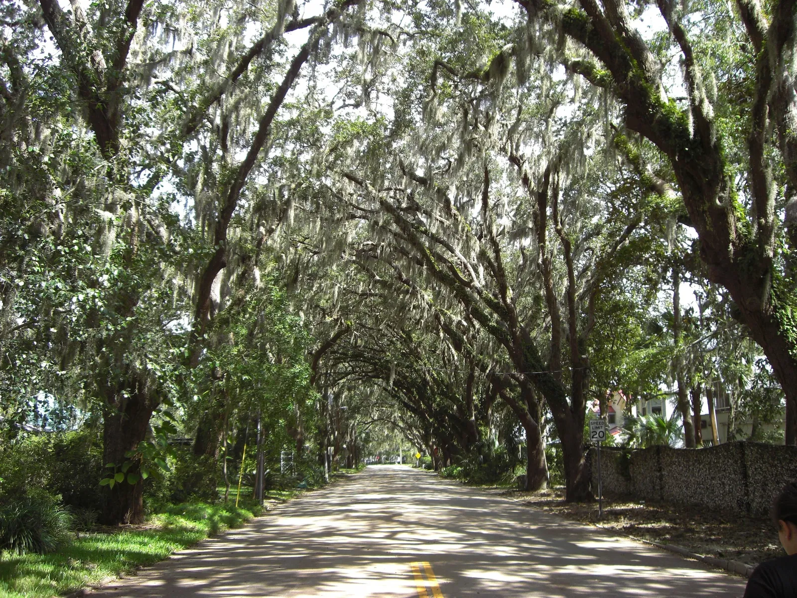Ponce De Leon's Fountain of Youth Archeological Park