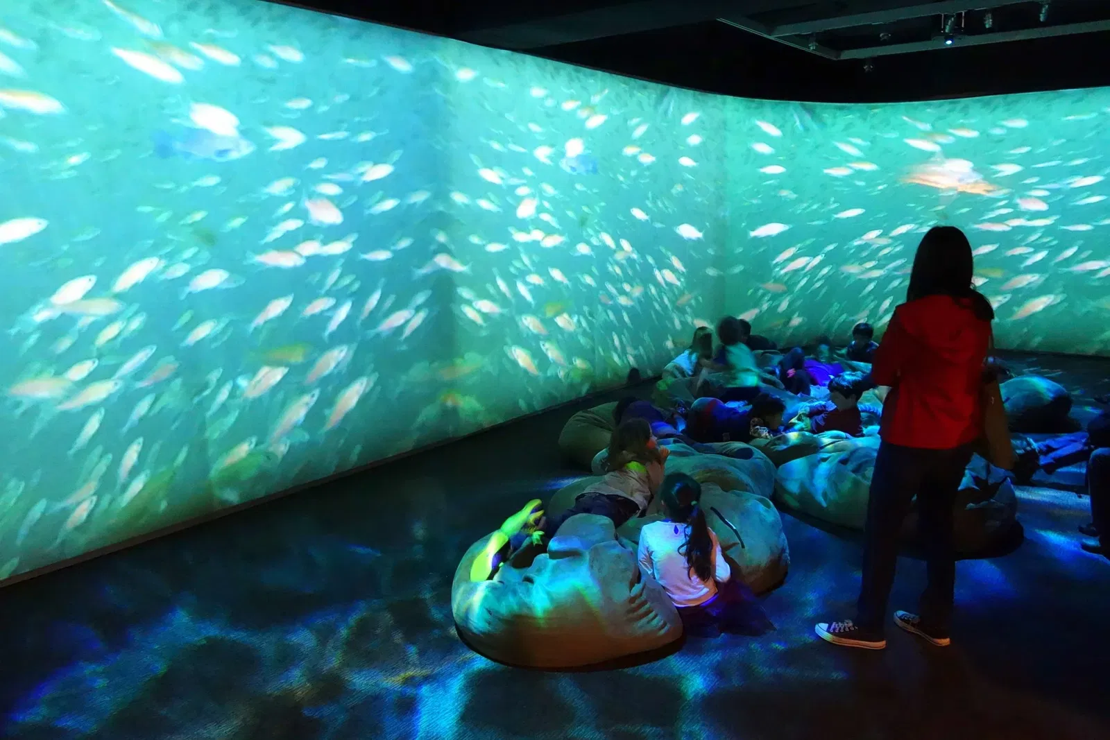 Oakland Museum of California