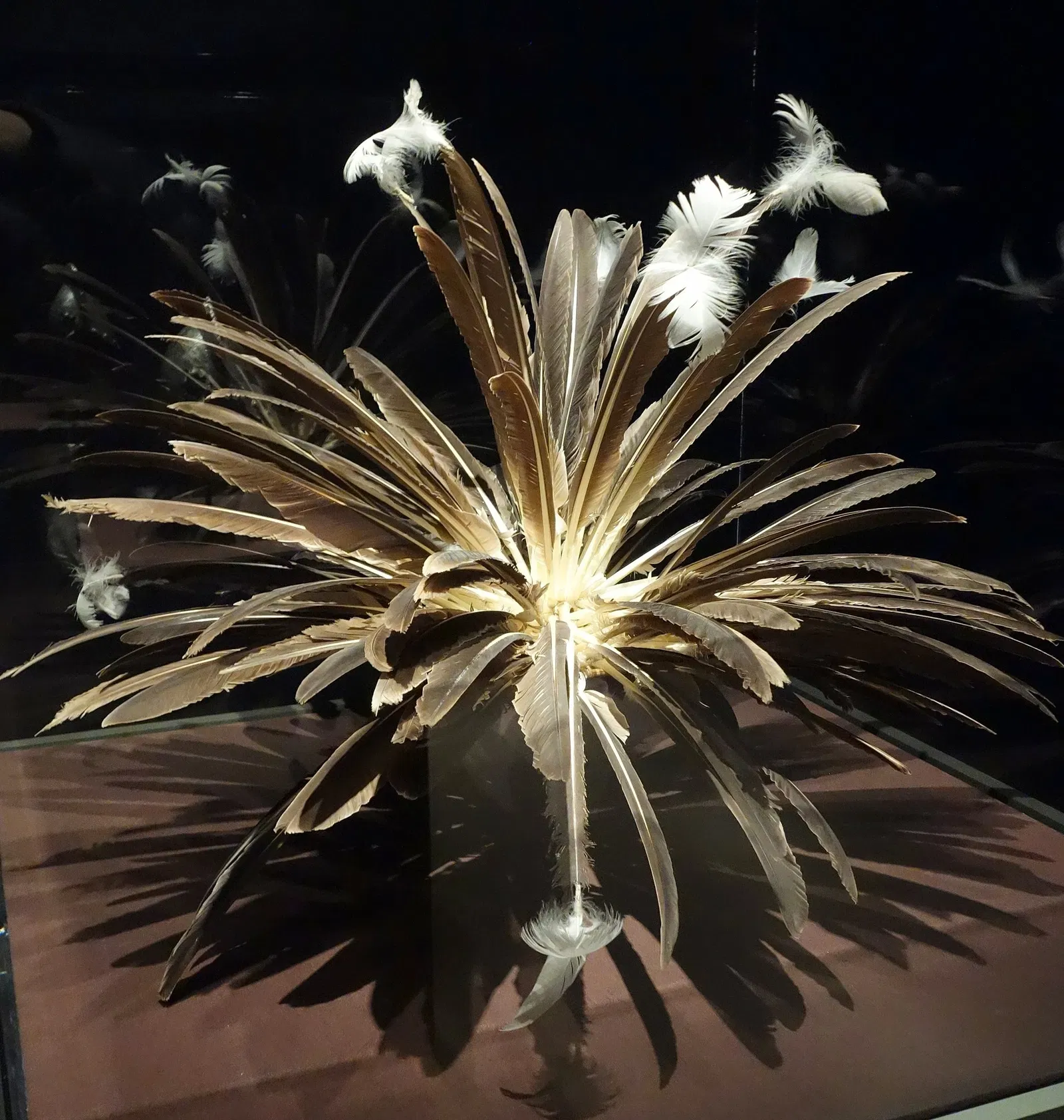 Oakland Museum of California