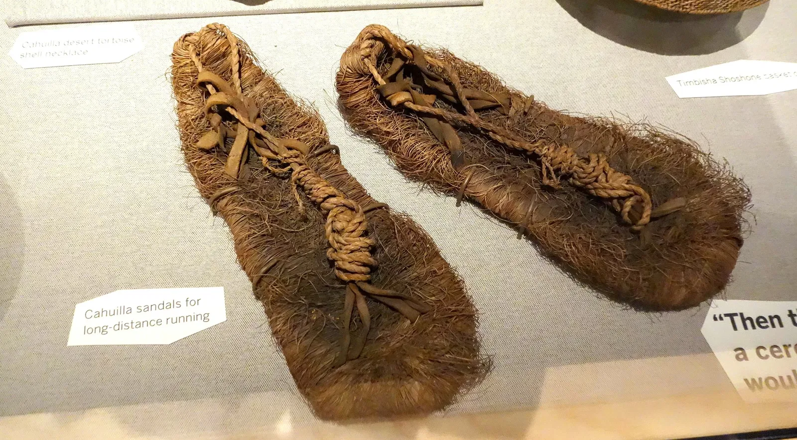 Oakland Museum of California