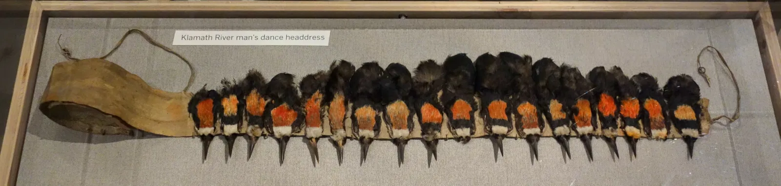 Oakland Museum of California