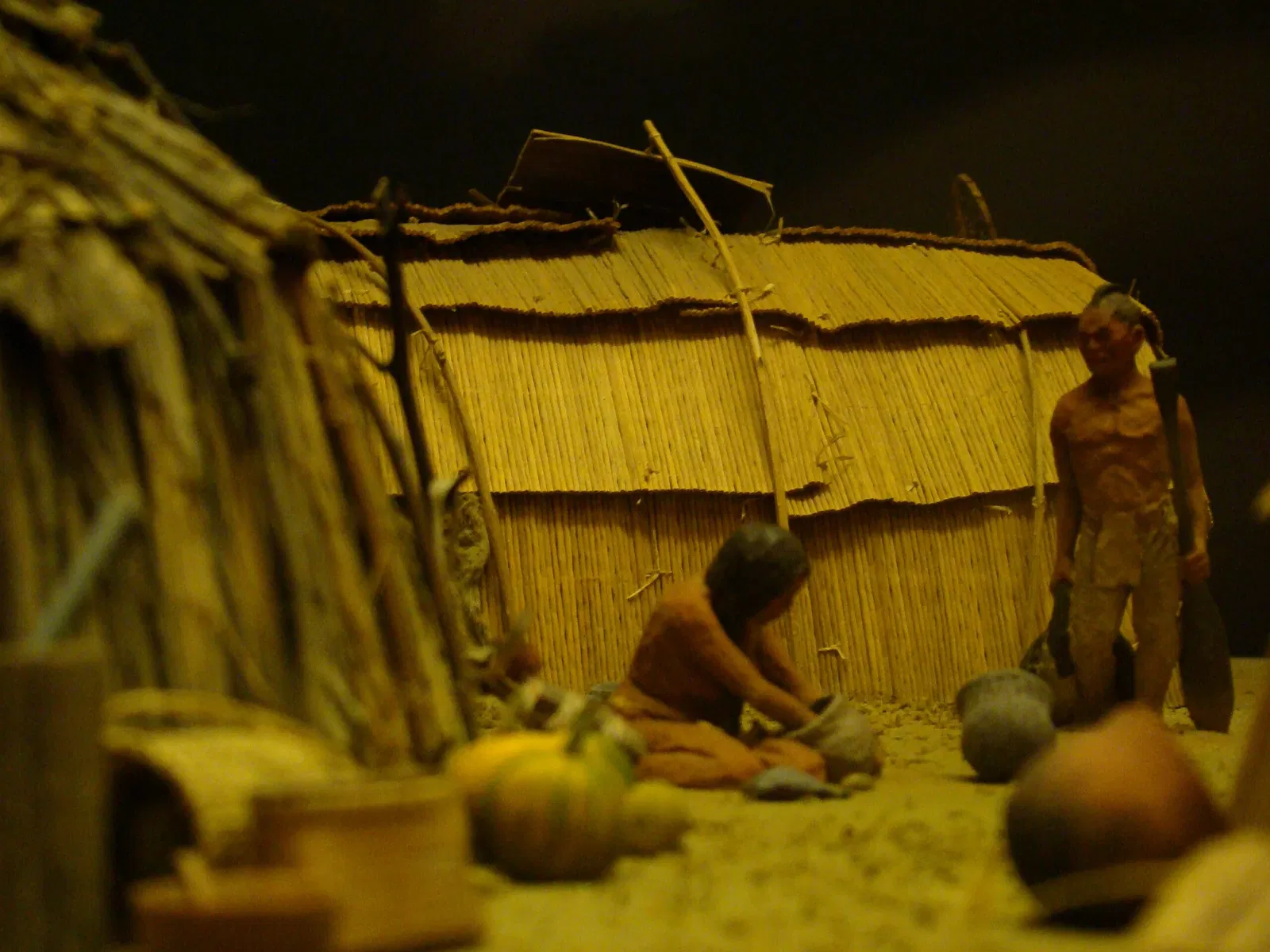 Peabody Museum of Archaeology and Ethnology