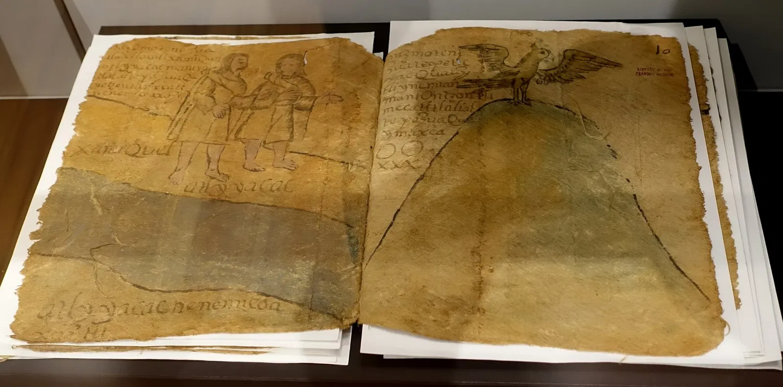 Museo Peabody di archeologia ed etnologia