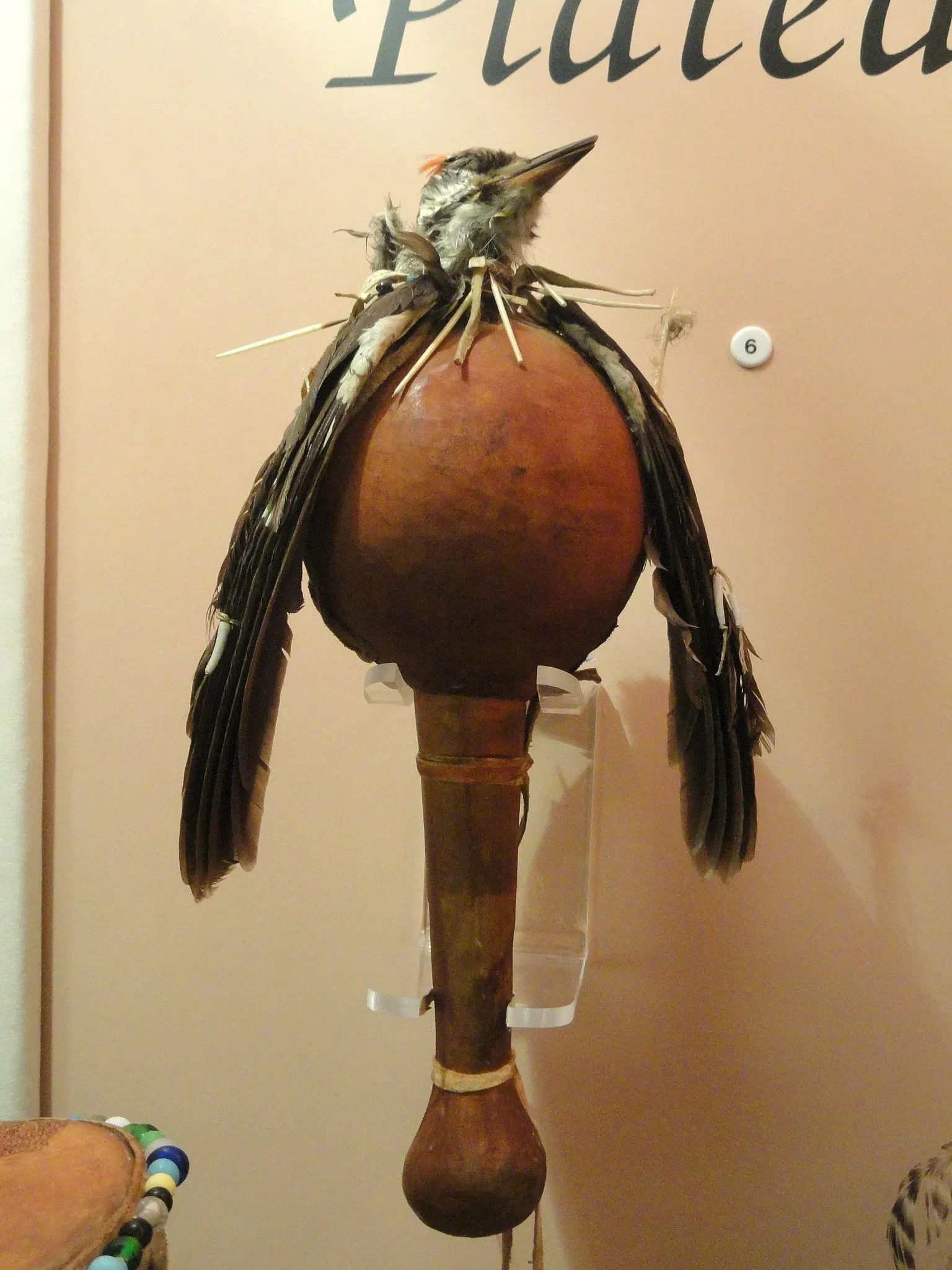 Museo Peabody di archeologia ed etnologia