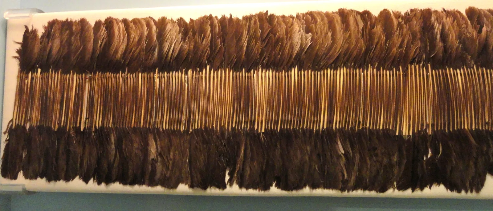 Museo Peabody di archeologia ed etnologia